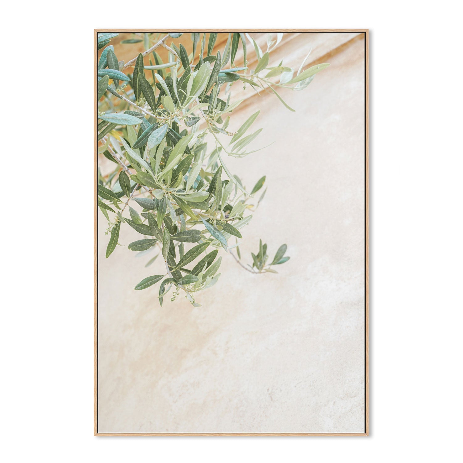 wall-art-print-canvas-poster-framed-Olive Tree Leaves-4