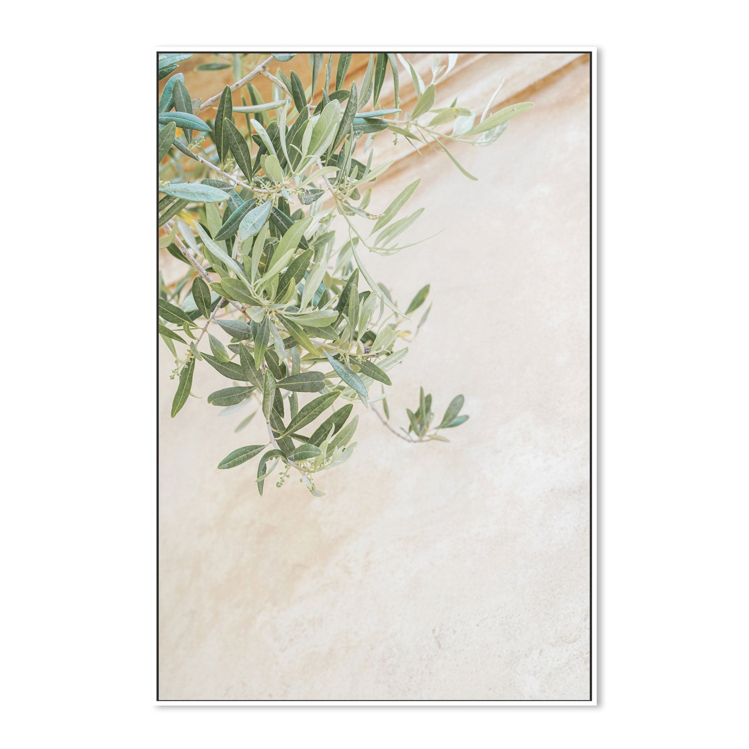wall-art-print-canvas-poster-framed-Olive Tree Leaves-5