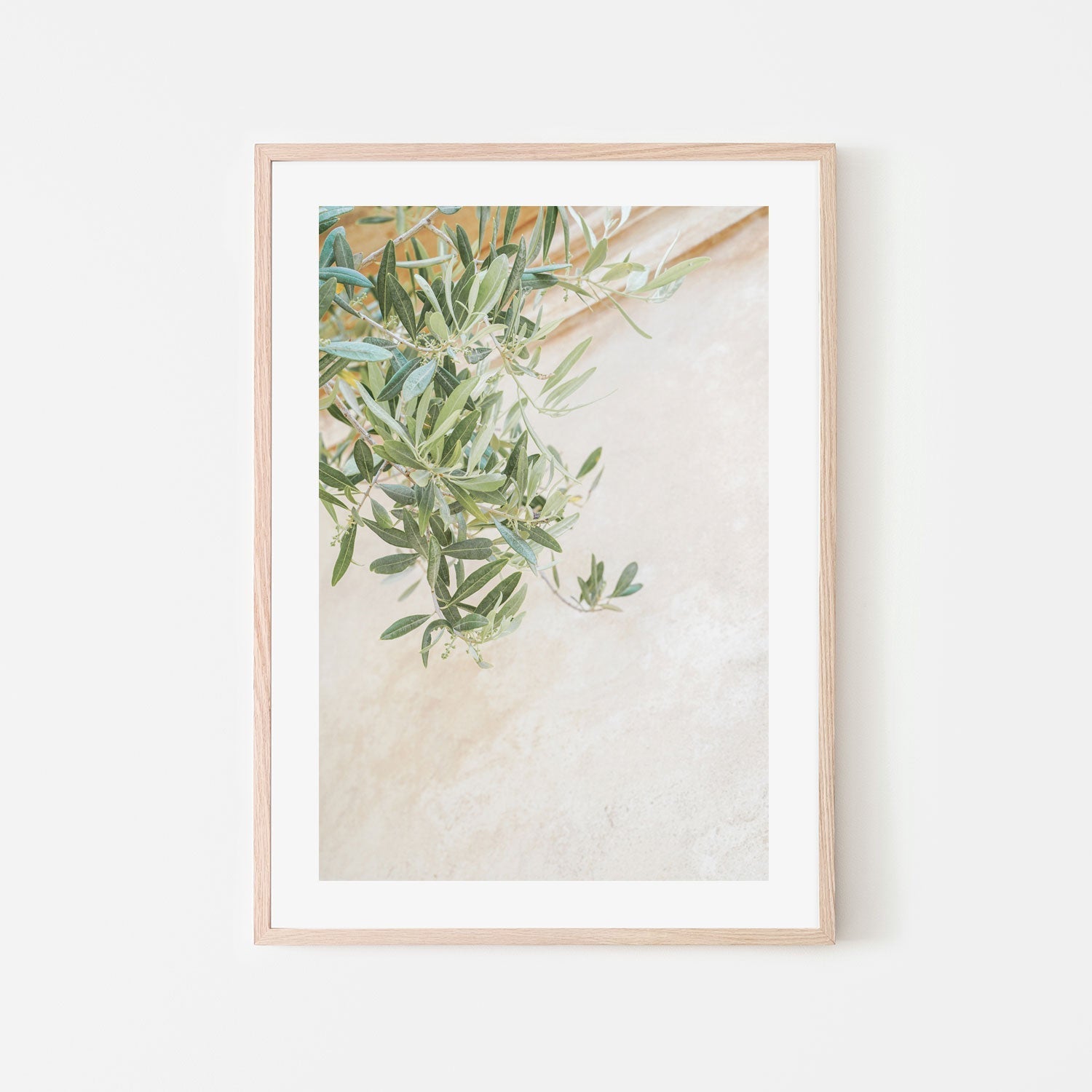 wall-art-print-canvas-poster-framed-Olive Tree Leaves-6