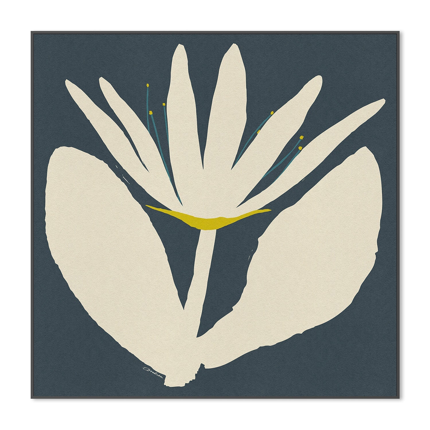 wall-art-print-canvas-poster-framed-Open Cream Flower On Blue-3