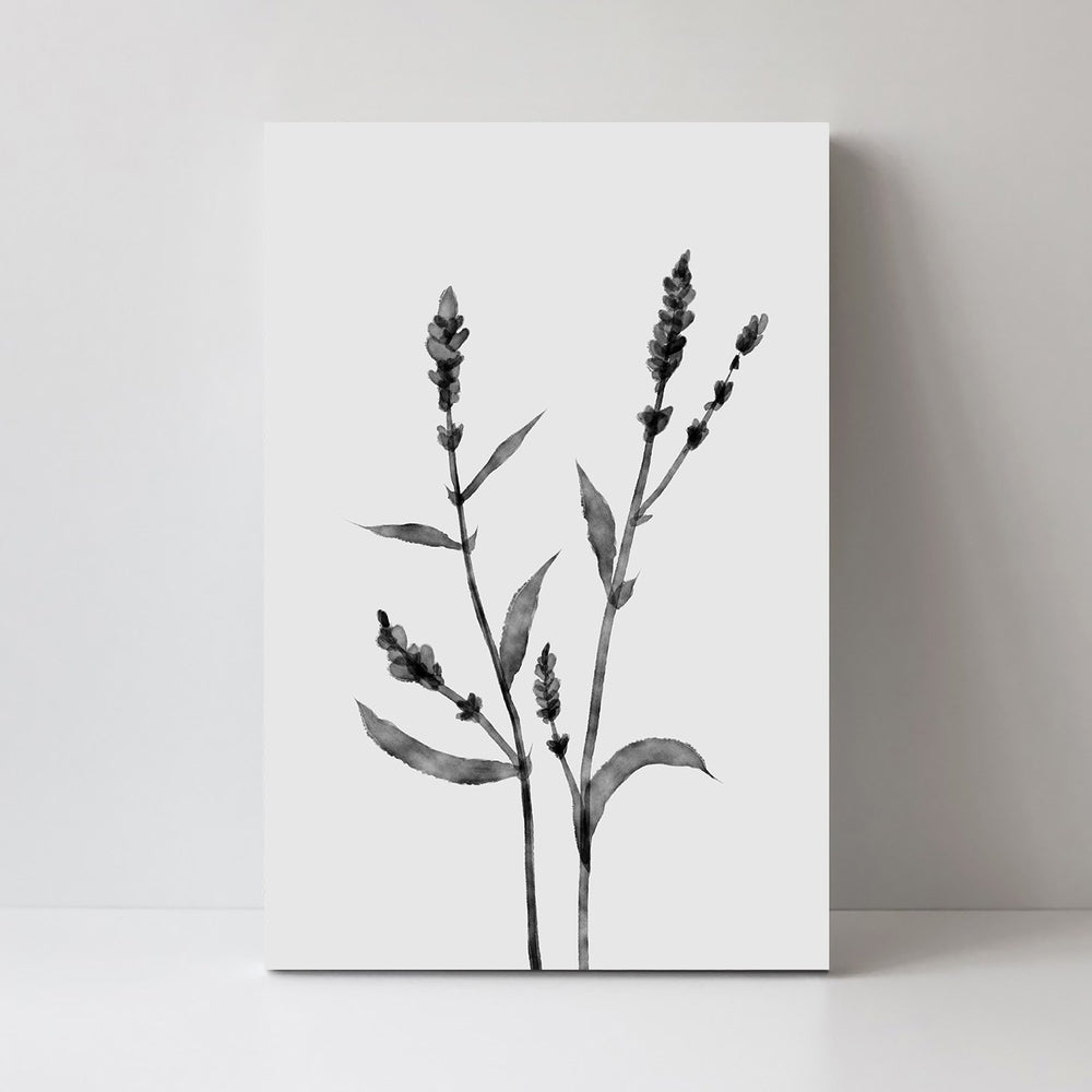 wall-art-print-canvas-poster-framed-Orache , By Dan Hobday-by-Dan Hobday-Gioia Wall Art