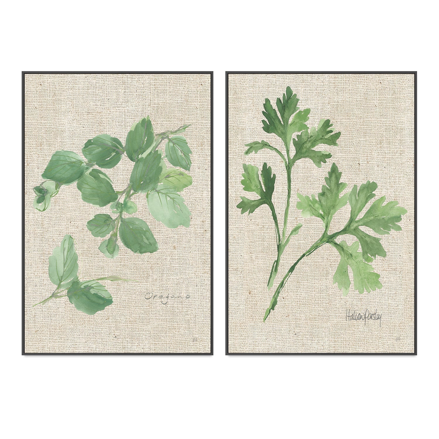 wall-art-print-canvas-poster-framed-Oregano And Italian Parsley, Set Of 2 , By Chris Paschke-GIOIA-WALL-ART