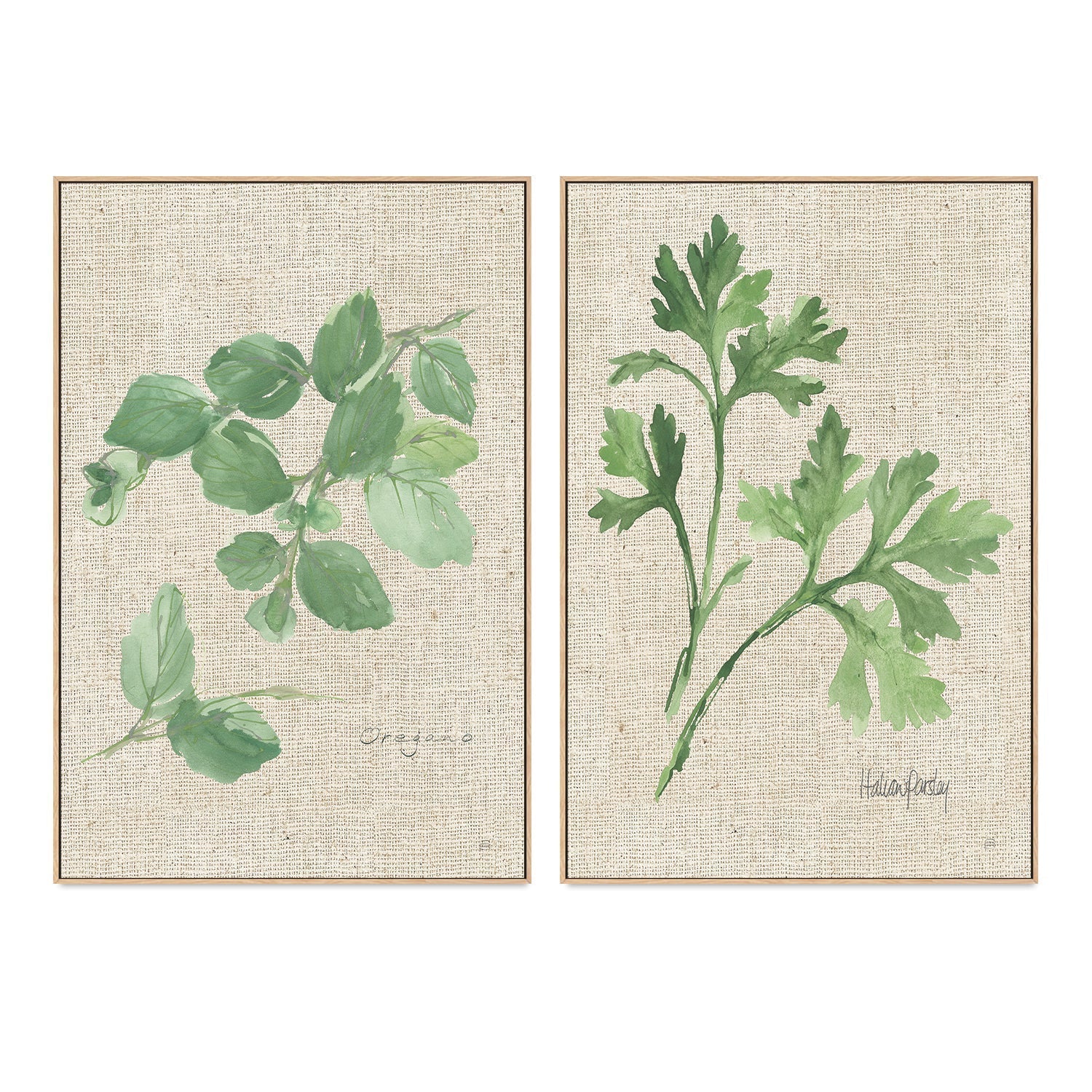 wall-art-print-canvas-poster-framed-Oregano And Italian Parsley, Set Of 2 , By Chris Paschke-GIOIA-WALL-ART