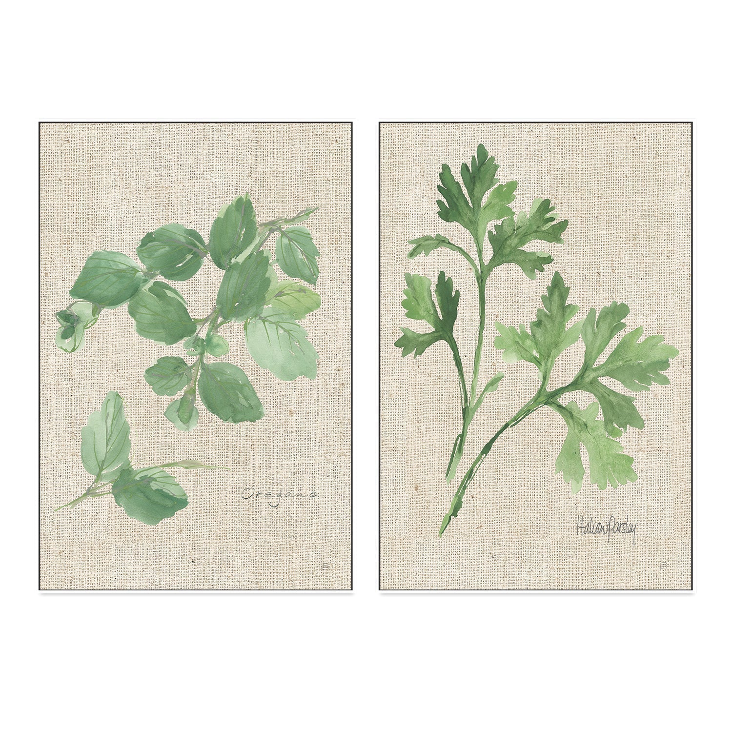 wall-art-print-canvas-poster-framed-Oregano And Italian Parsley, Set Of 2 , By Chris Paschke-GIOIA-WALL-ART