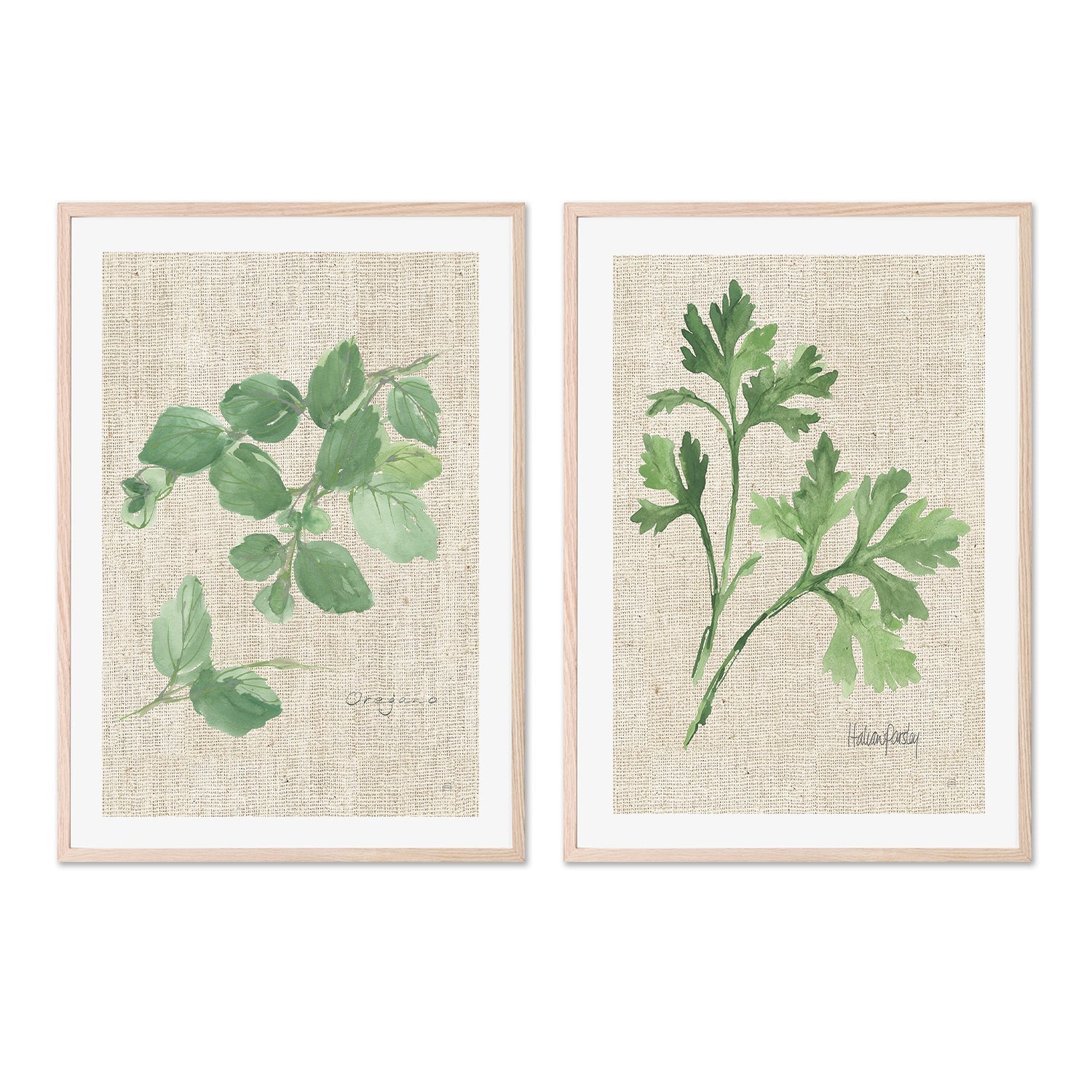 wall-art-print-canvas-poster-framed-Oregano And Italian Parsley, Set Of 2 , By Chris Paschke-GIOIA-WALL-ART