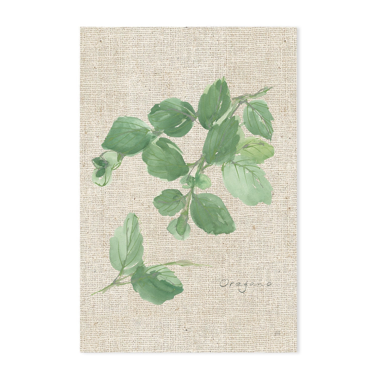 wall-art-print-canvas-poster-framed-Oregano And Italian Parsley, Set Of 2 , By Chris Paschke-GIOIA-WALL-ART
