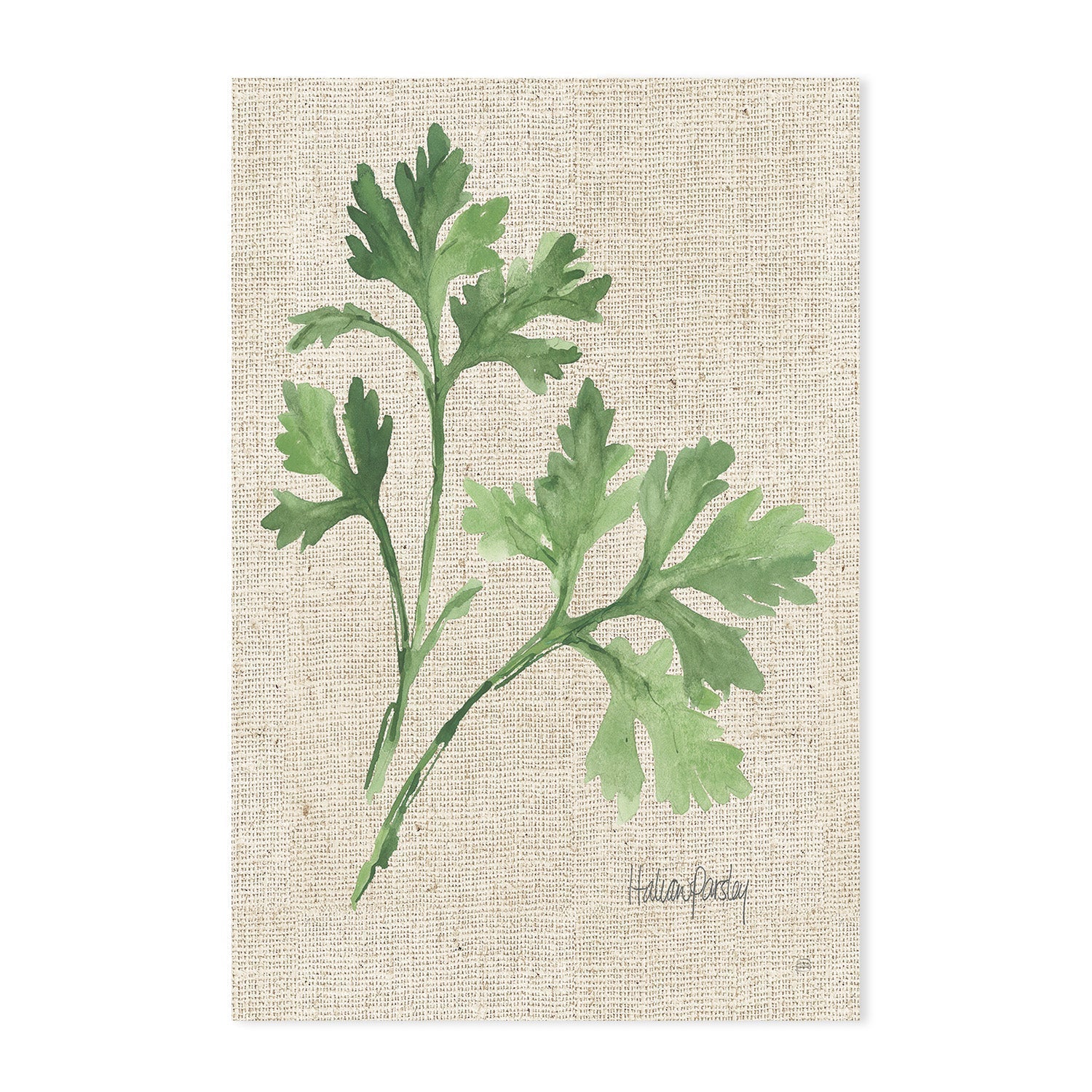 wall-art-print-canvas-poster-framed-Oregano And Italian Parsley, Set Of 2 , By Chris Paschke-GIOIA-WALL-ART