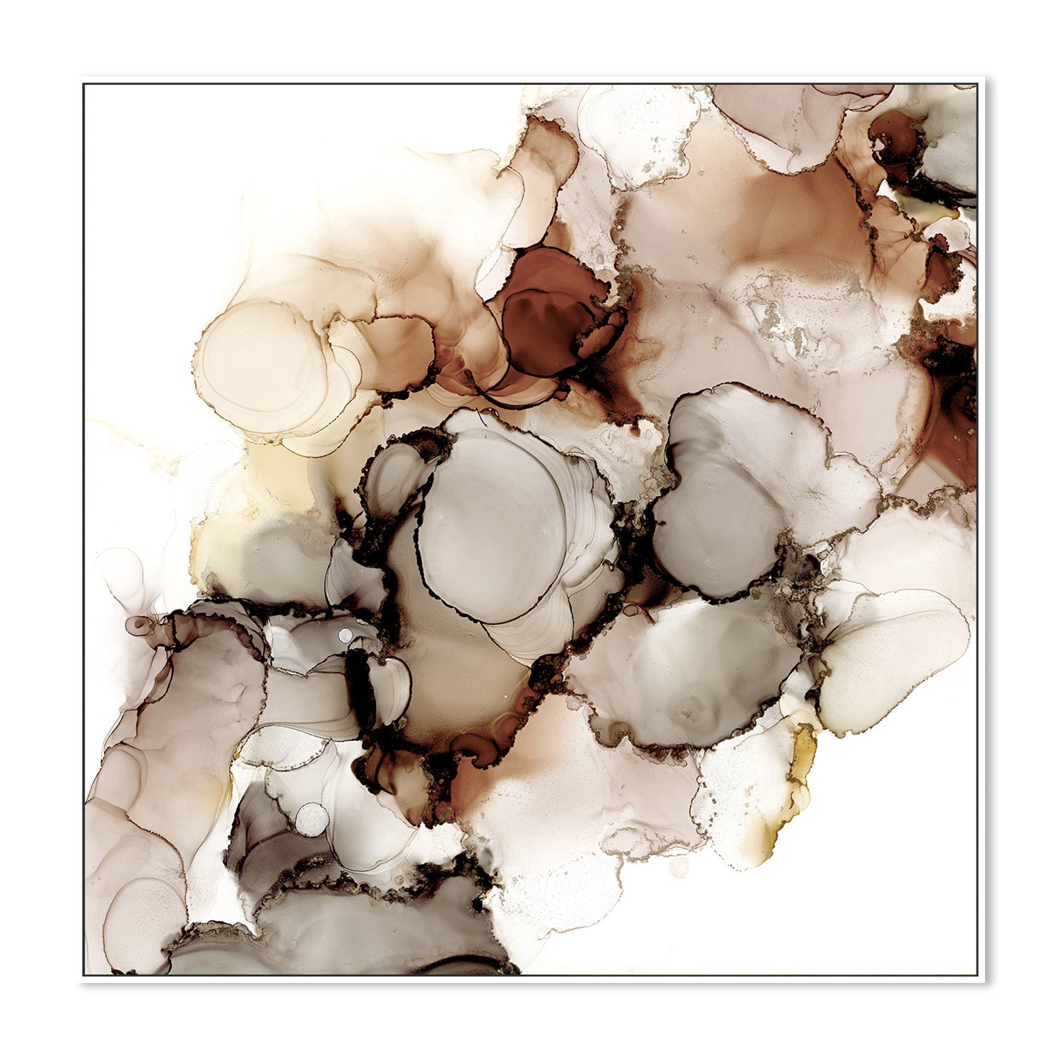 wall-art-print-canvas-poster-framed-Organic Curves 19-5