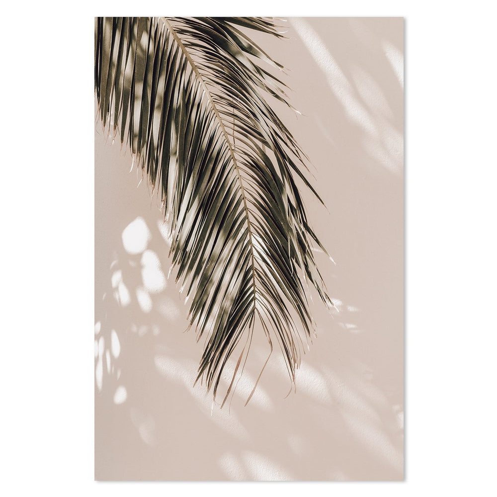 wall-art-print-canvas-poster-framed-Palm Leaf Shadows-by-Gioia Wall Art-Gioia Wall Art