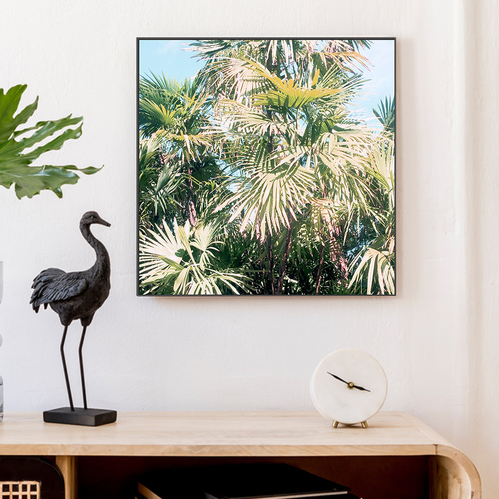 wall-art-print-canvas-poster-framed-Palm Leaves , By Hope Bainbridge-2