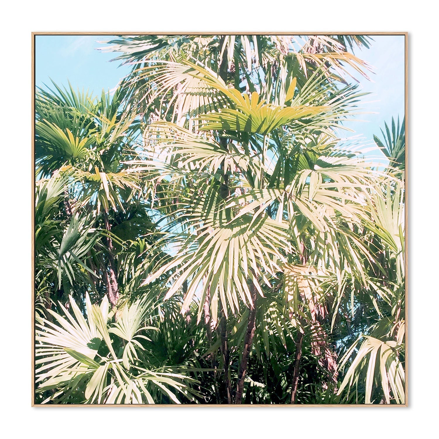 wall-art-print-canvas-poster-framed-Palm Leaves , By Hope Bainbridge-4