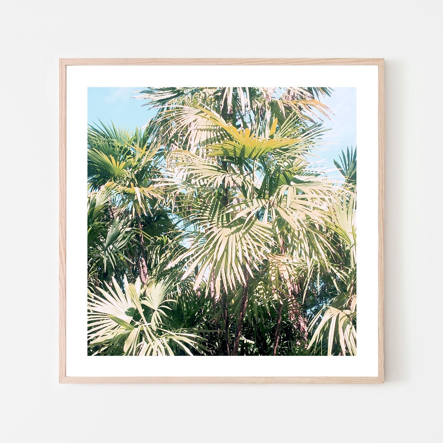 wall-art-print-canvas-poster-framed-Palm Leaves , By Hope Bainbridge-6