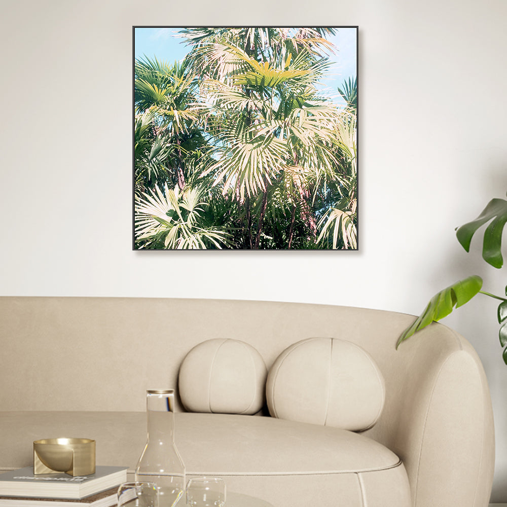 wall-art-print-canvas-poster-framed-Palm Leaves , By Hope Bainbridge-7