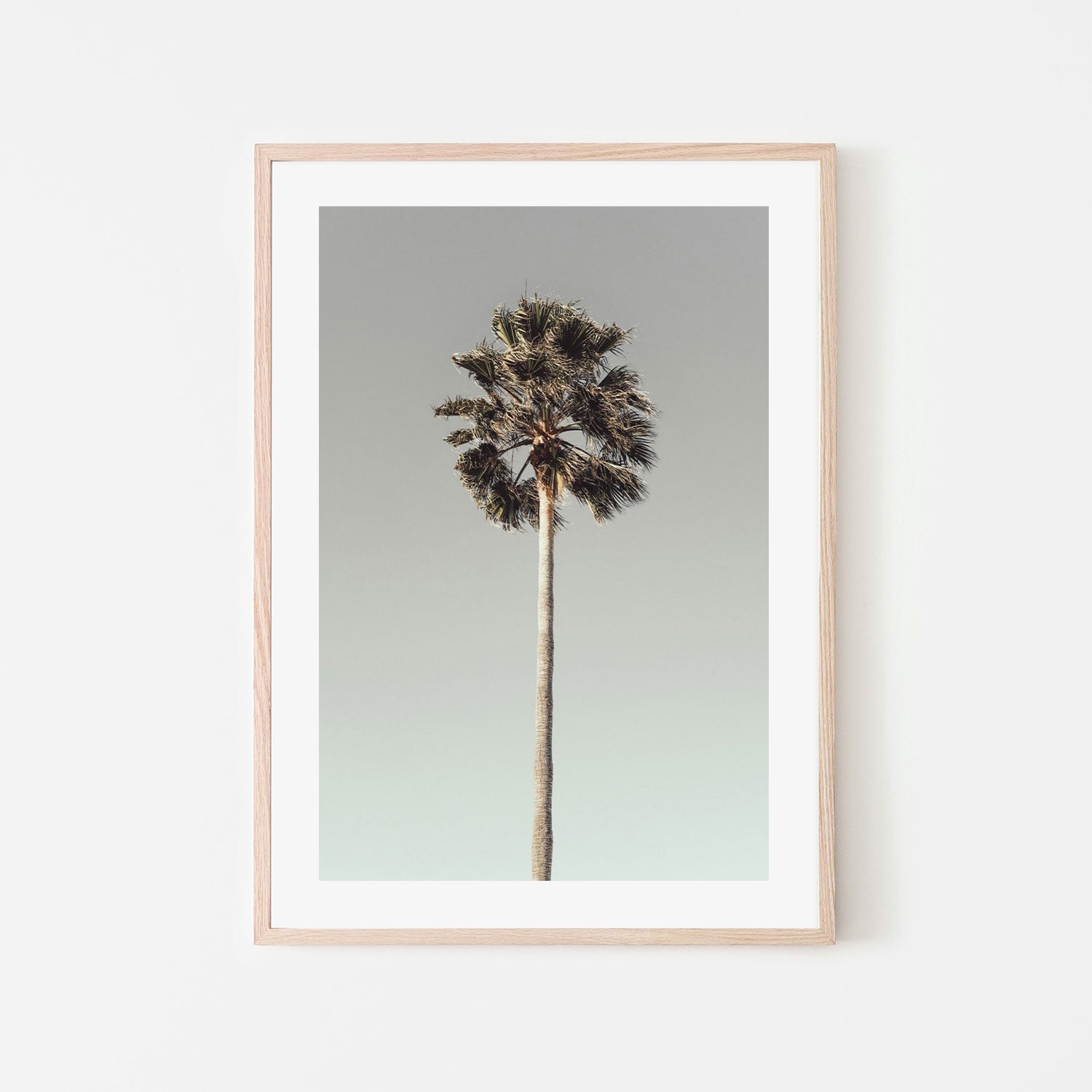 Palm, Style A-Gioia-Prints-Framed-Canvas-Poster-GIOIA-WALL-ART