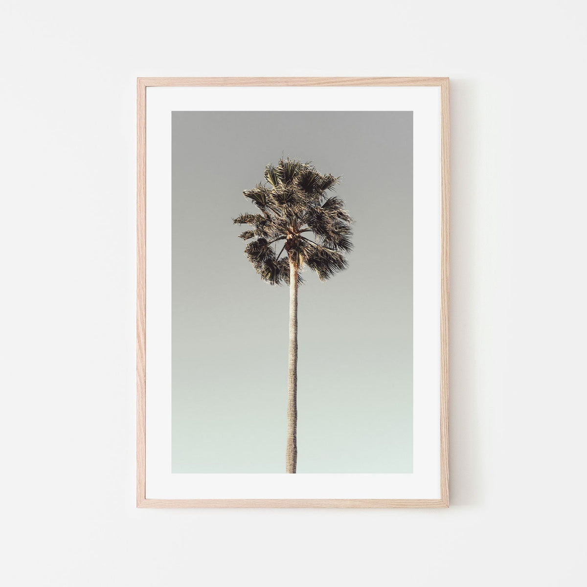 Palm, Style A-Gioia-Prints-Framed-Canvas-Poster-GIOIA-WALL-ART