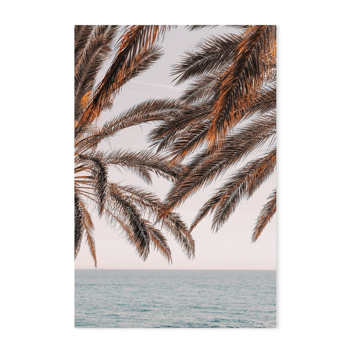wall-art-print-canvas-poster-framed-Palm, Style B-by-Plus X Studio-Gioia Wall Art