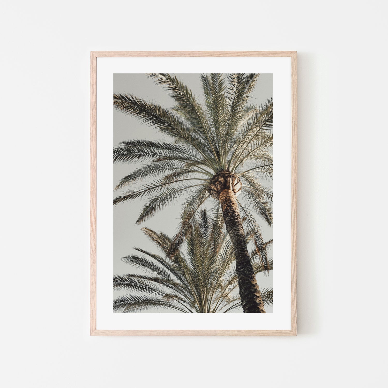 Palm, Style B-Gioia-Prints-Framed-Canvas-Poster-GIOIA-WALL-ART
