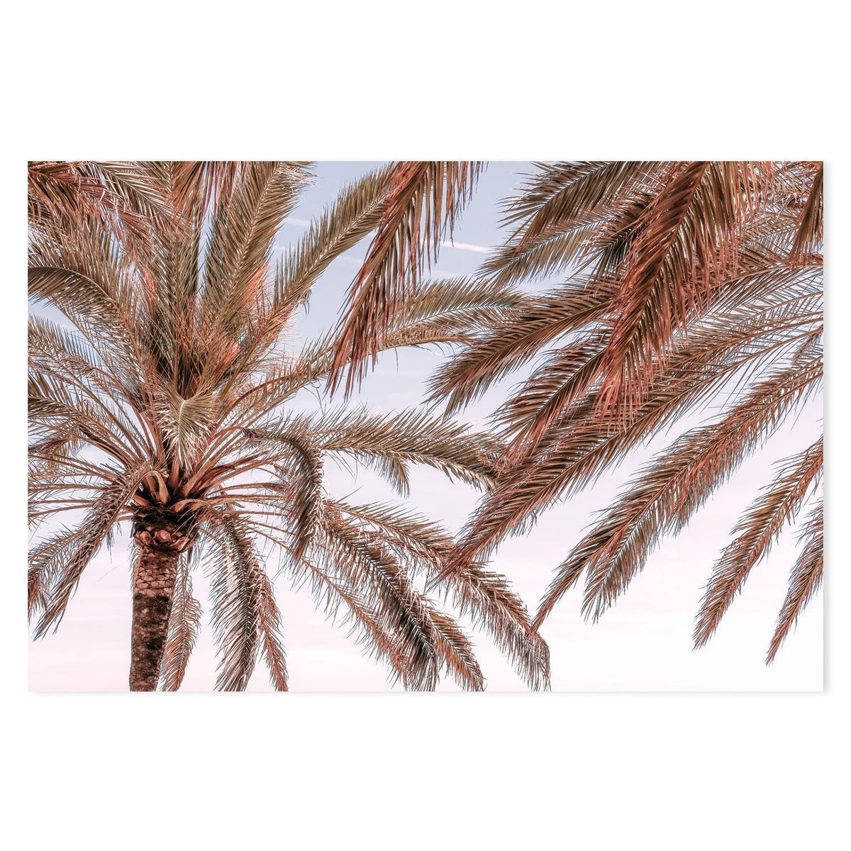 wall-art-print-canvas-poster-framed-Palm, Style C-by-Plus X Studio-Gioia Wall Art