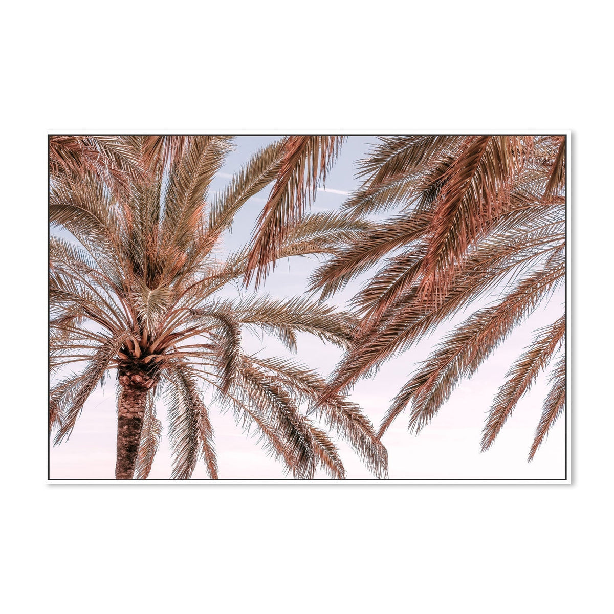 wall-art-print-canvas-poster-framed-Palm, Style C-by-Plus X Studio-Gioia Wall Art