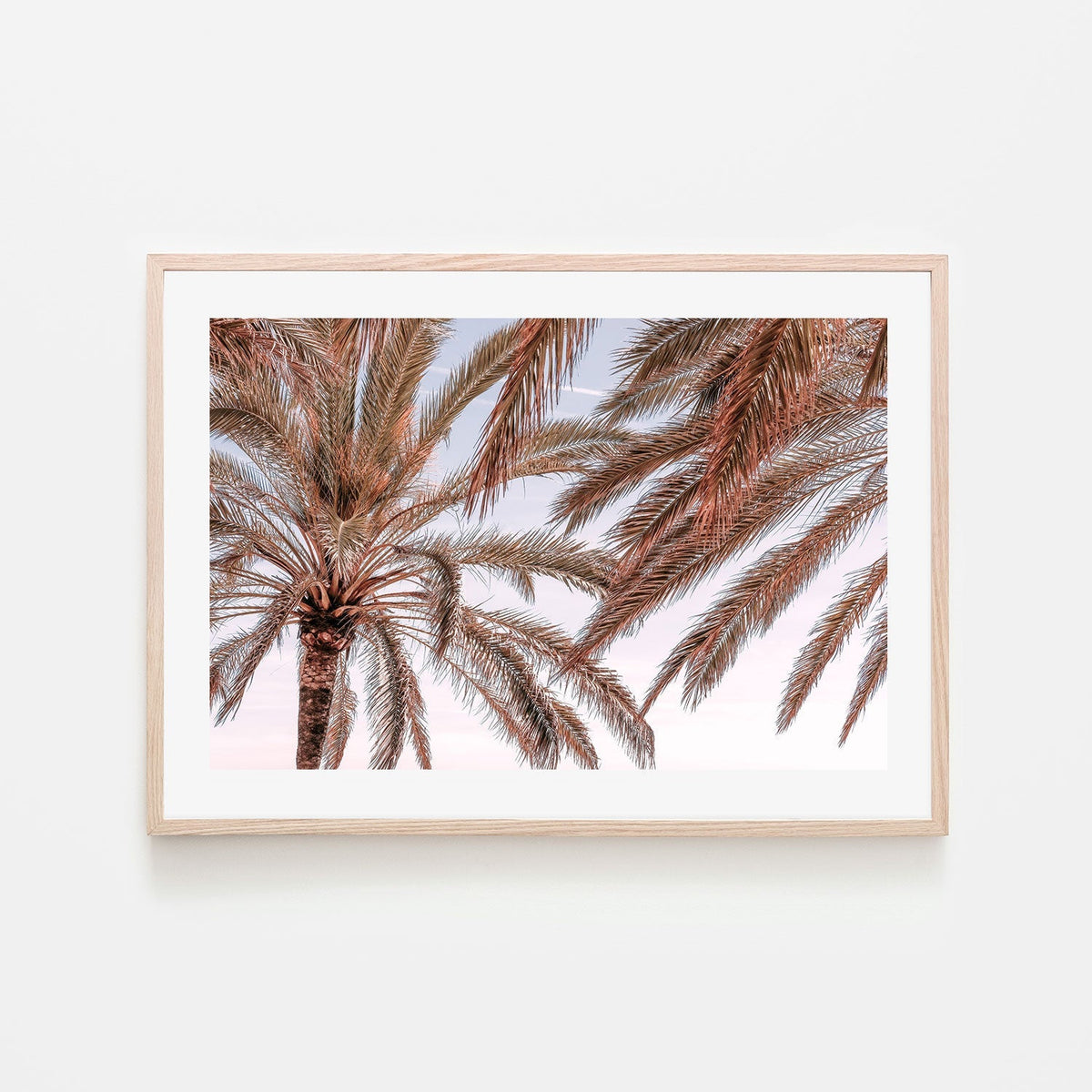 wall-art-print-canvas-poster-framed-Palm, Style C-by-Plus X Studio-Gioia Wall Art