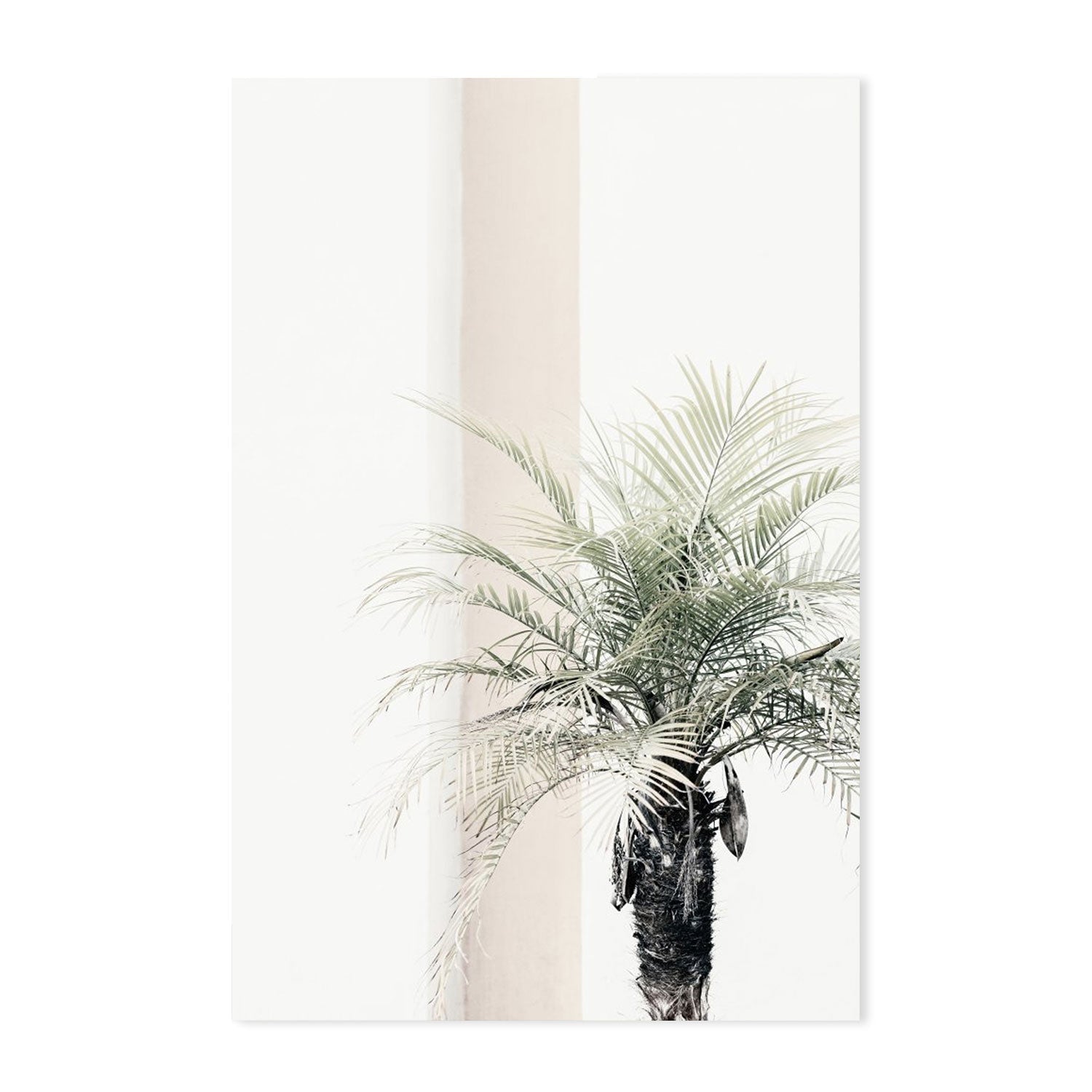 Palm Tree-Gioia-Prints-Framed-Canvas-Poster-GIOIA-WALL-ART