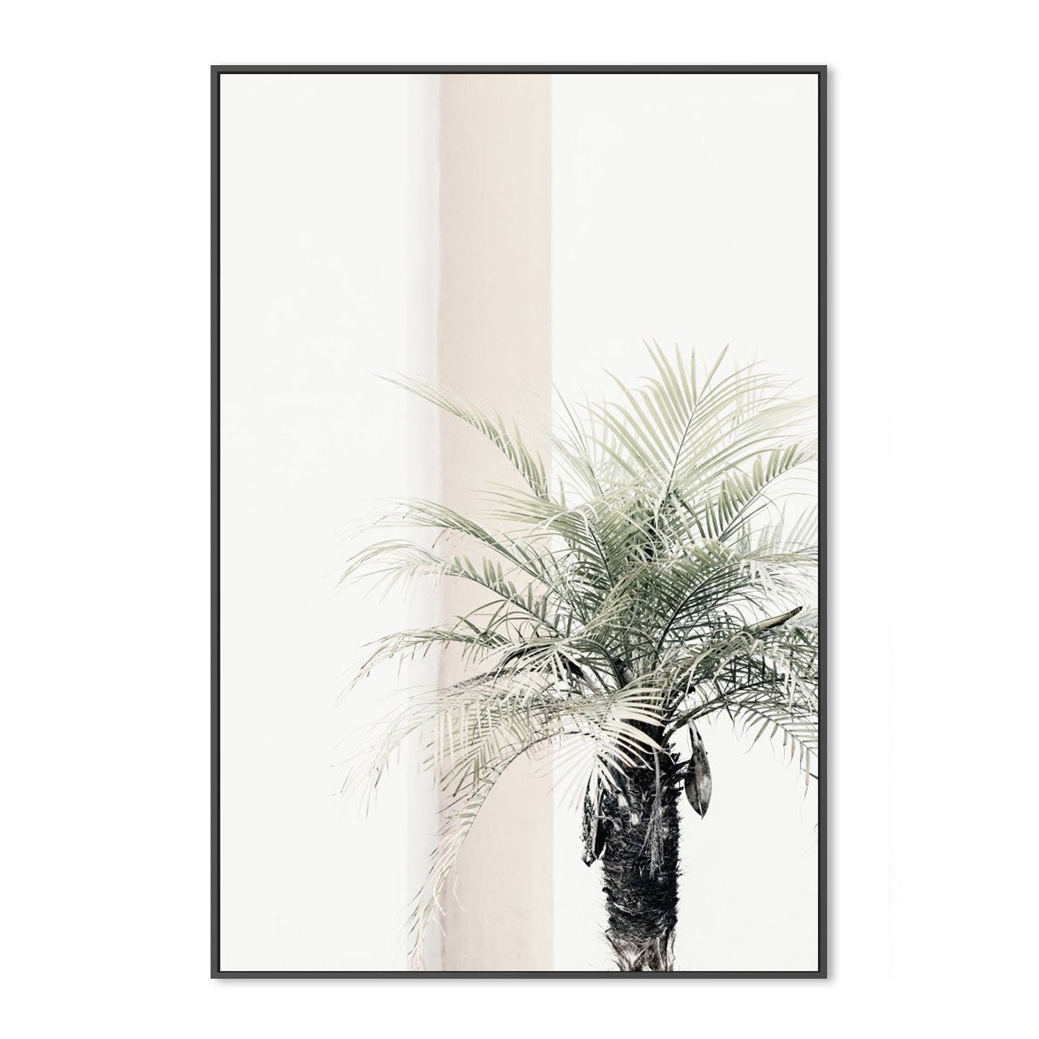 Palm Tree-Gioia-Prints-Framed-Canvas-Poster-GIOIA-WALL-ART