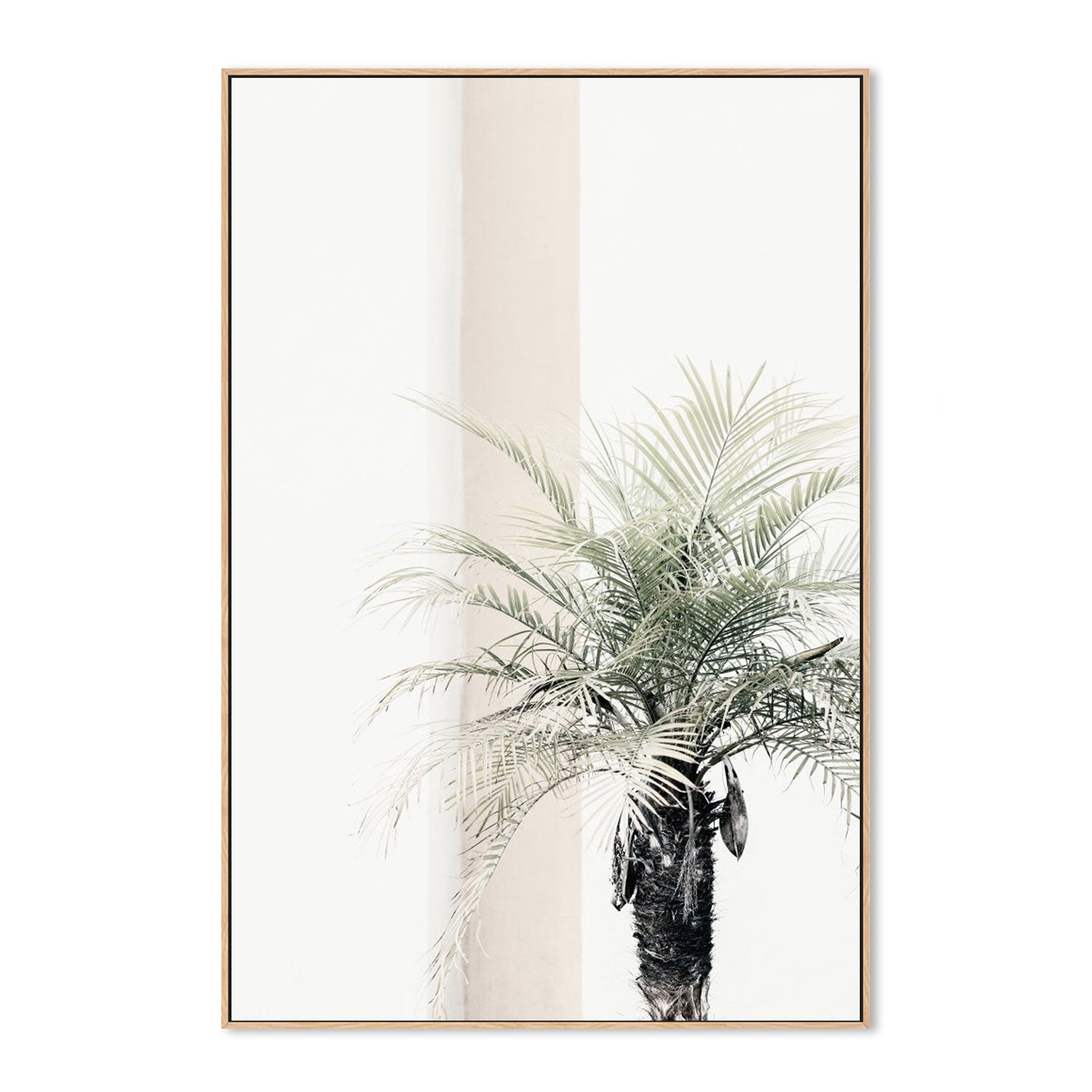 Palm Tree-Gioia-Prints-Framed-Canvas-Poster-GIOIA-WALL-ART