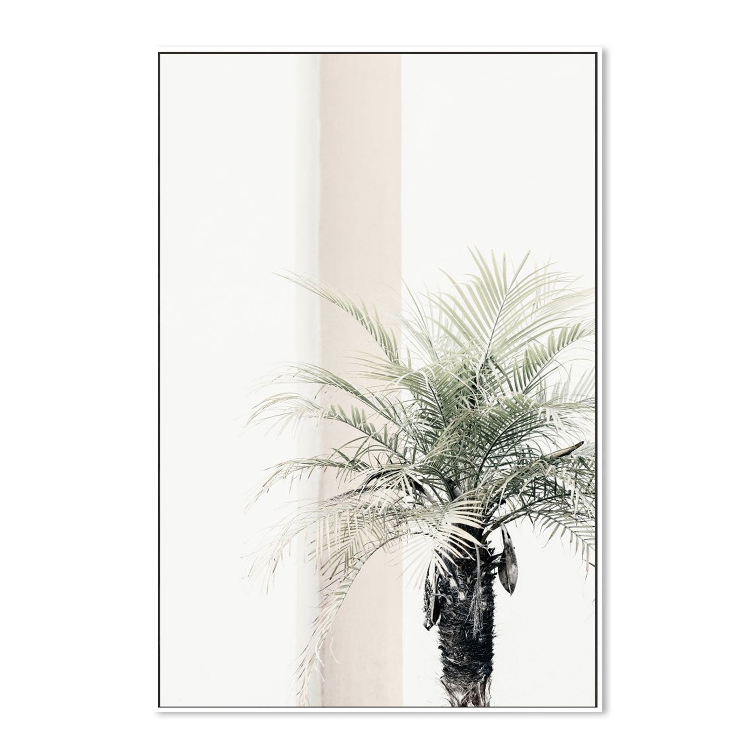 Palm Tree-Gioia-Prints-Framed-Canvas-Poster-GIOIA-WALL-ART