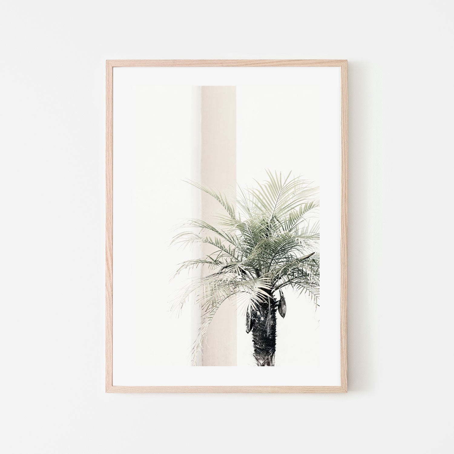 Palm Tree-Gioia-Prints-Framed-Canvas-Poster-GIOIA-WALL-ART