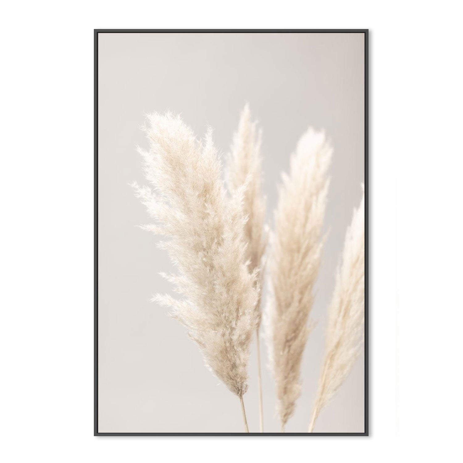 wall-art-print-canvas-poster-framed-Pampas Grass Grey, Style B-by-Plus X Studio-Gioia Wall Art