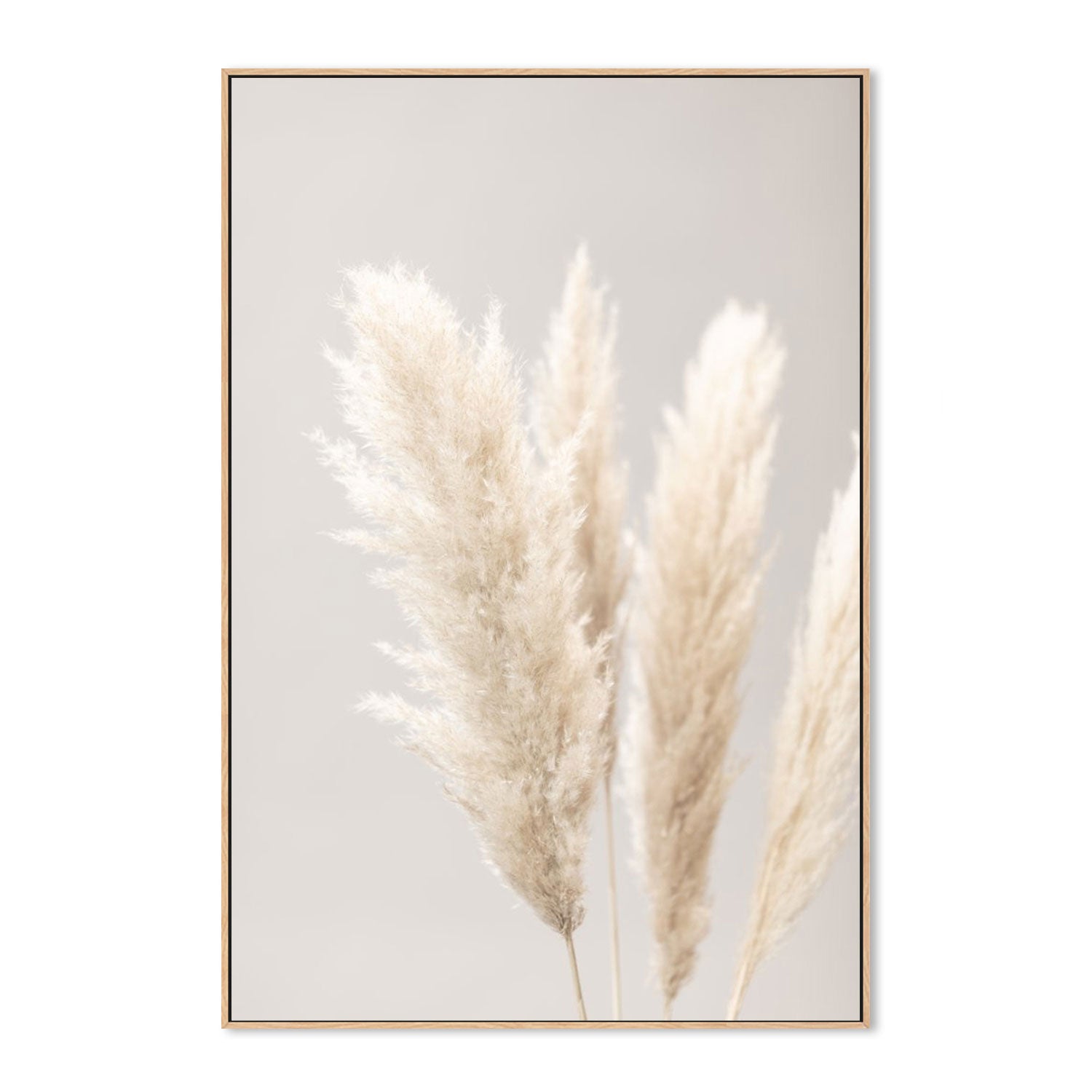 wall-art-print-canvas-poster-framed-Pampas Grass Grey, Style B-by-Plus X Studio-Gioia Wall Art