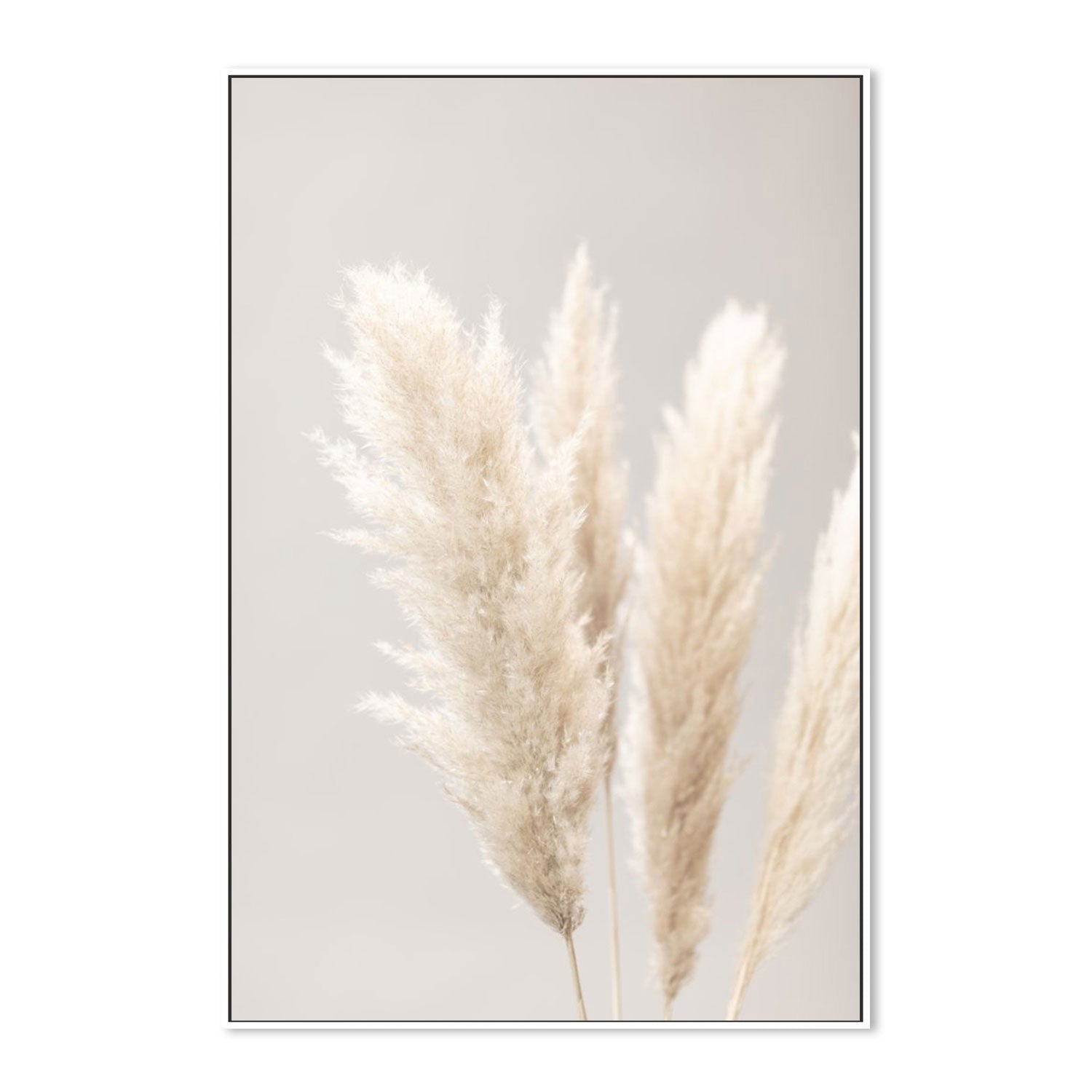 wall-art-print-canvas-poster-framed-Pampas Grass Grey, Style B-by-Plus X Studio-Gioia Wall Art