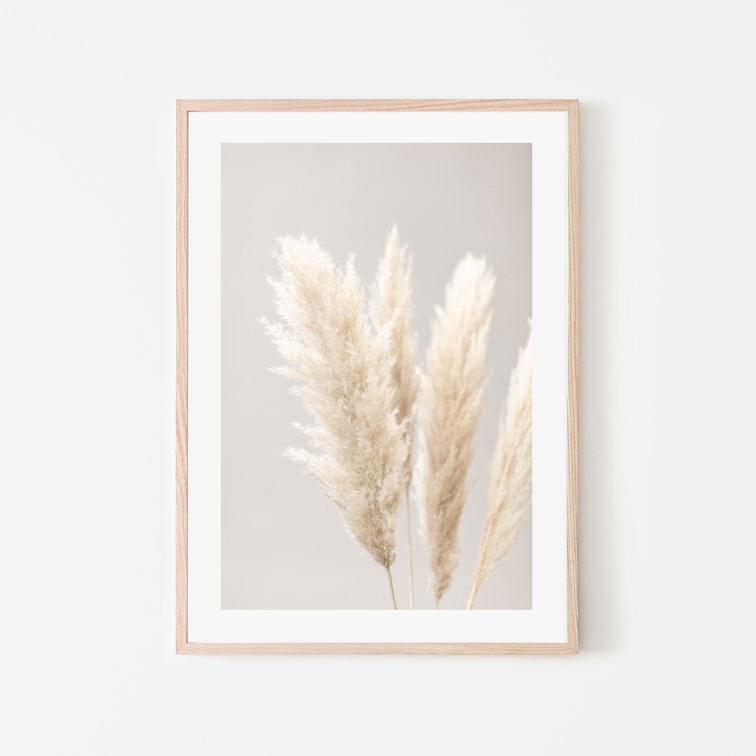 wall-art-print-canvas-poster-framed-Pampas Grass Grey, Style B-by-Plus X Studio-Gioia Wall Art