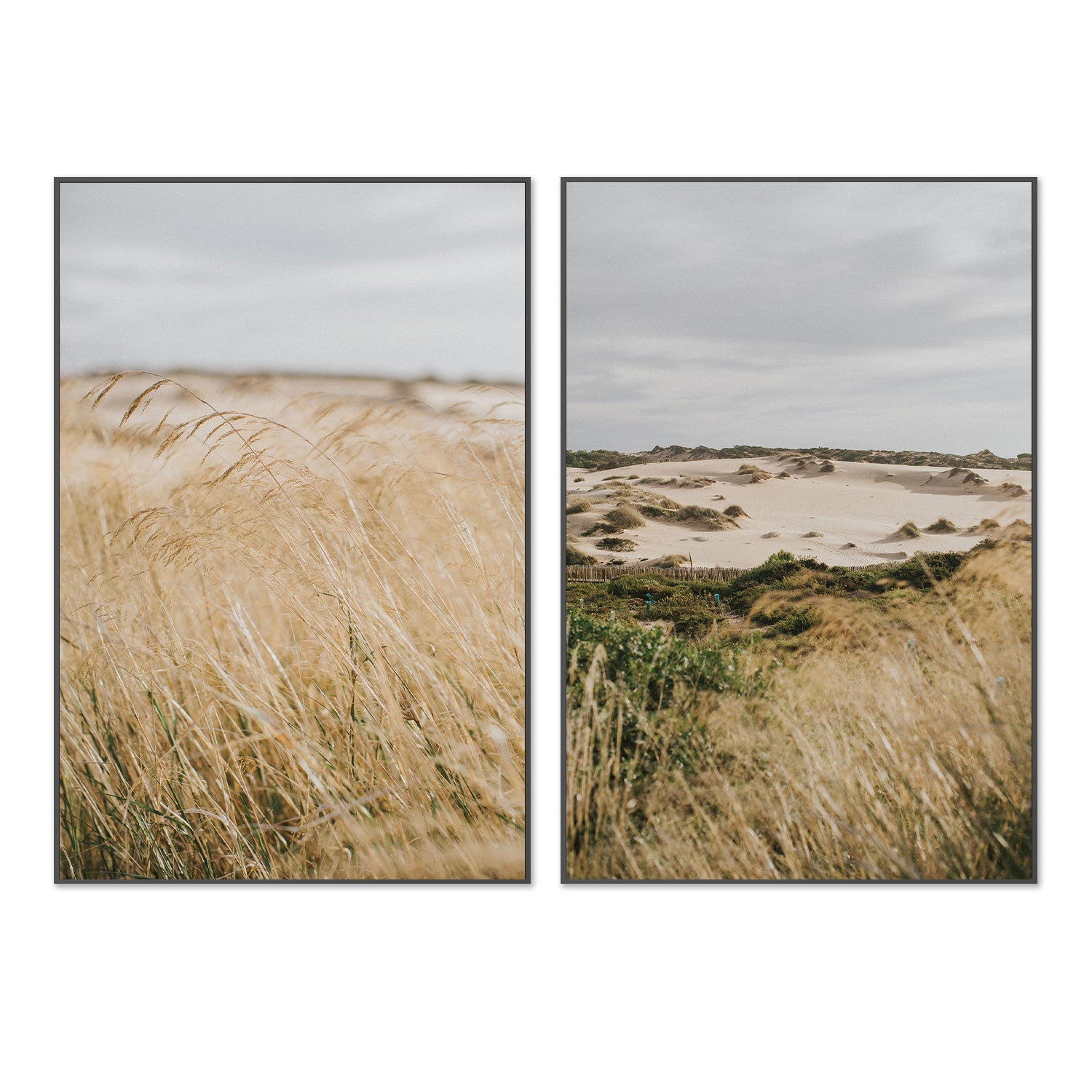 wall-art-print-canvas-poster-framed-Pampas Grass, Style A & B, Set Of 2 , By Hello Twiggs-3