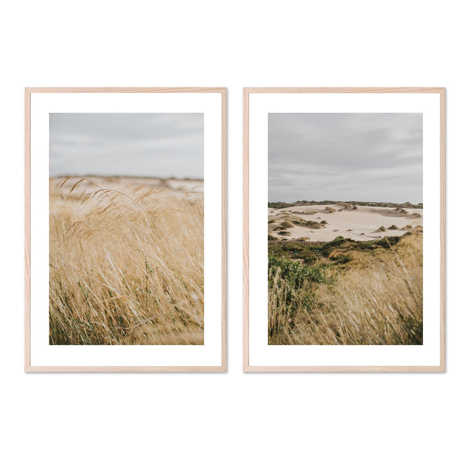 wall-art-print-canvas-poster-framed-Pampas Grass, Style A & B, Set Of 2 , By Hello Twiggs-6