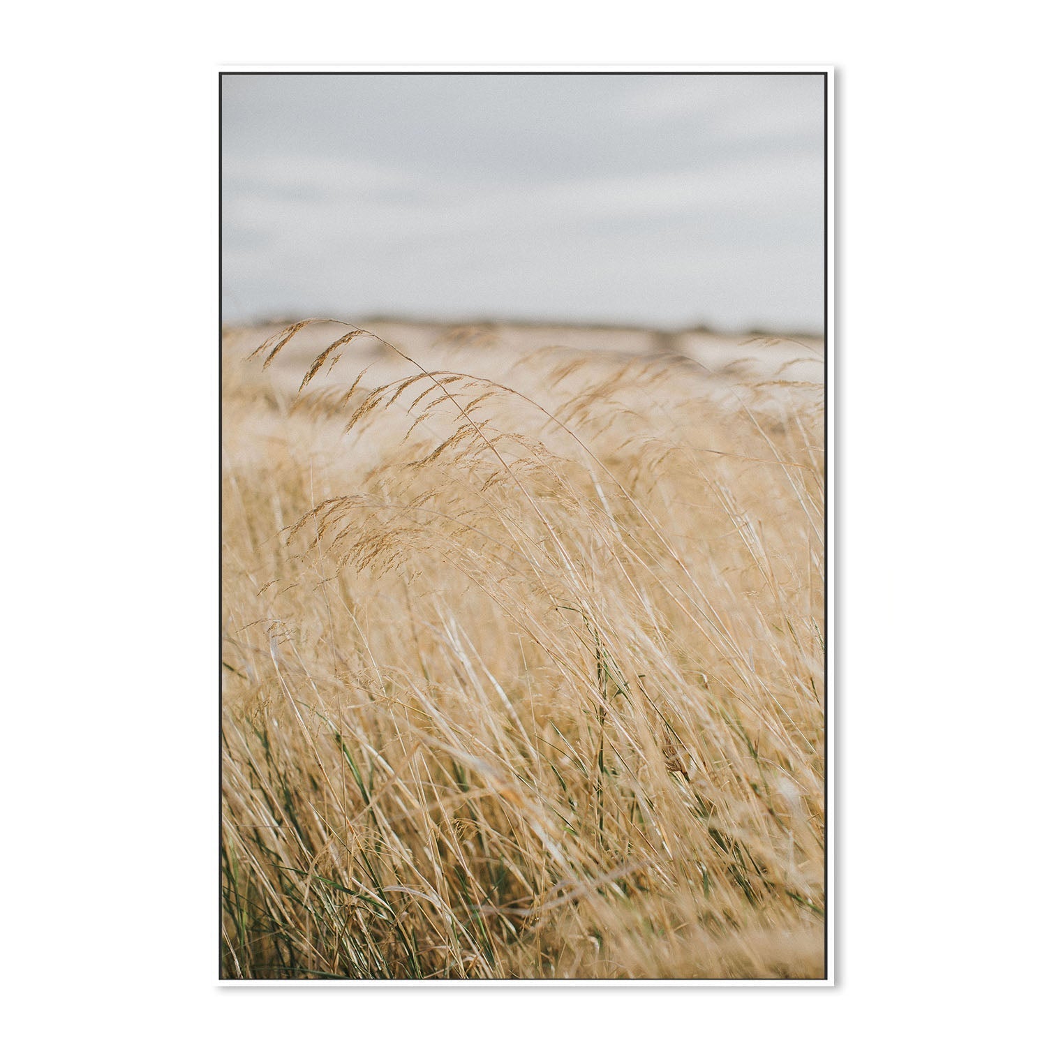 wall-art-print-canvas-poster-framed-Pampas Grass, Style A , By Hello Twiggs-5