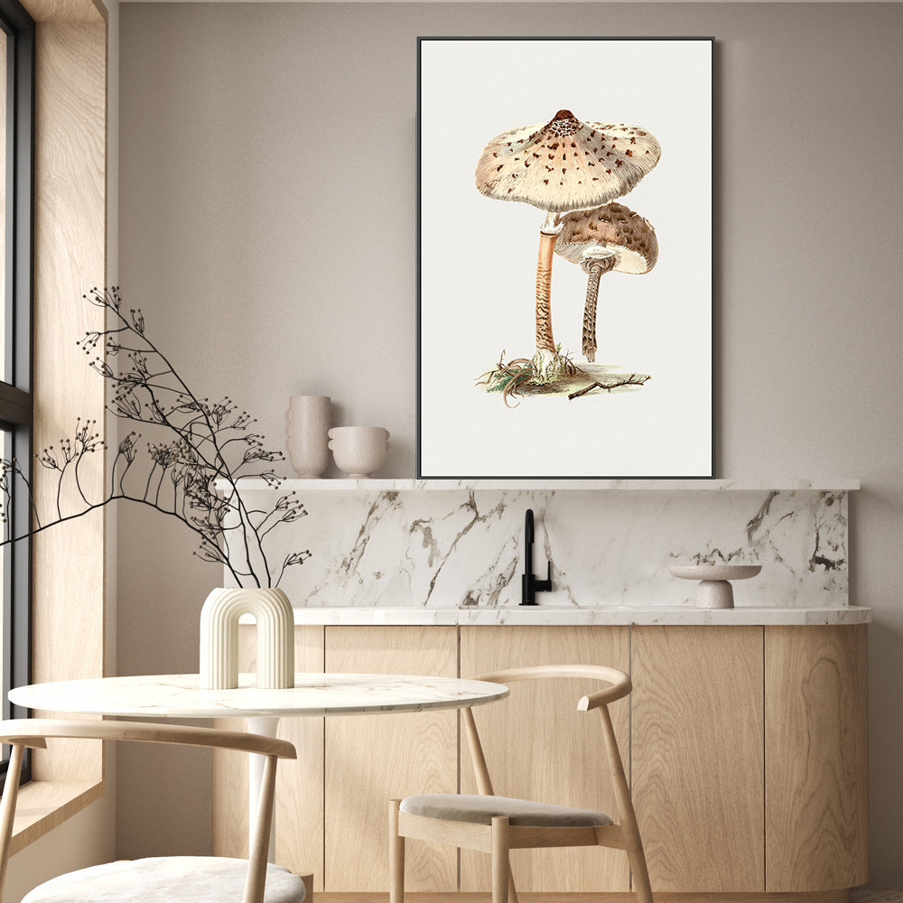 wall-art-print-canvas-poster-framed-Parasol Mushrooms-GIOIA-WALL-ART