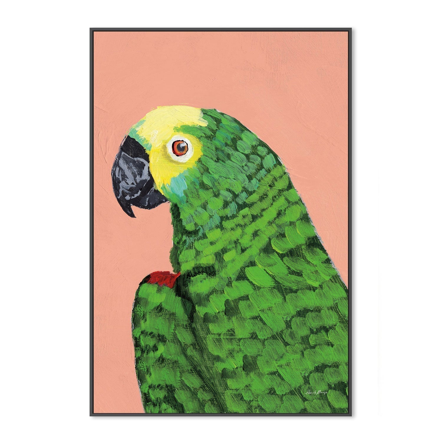 wall-art-print-canvas-poster-framed-Parrot Head-by-Pamela Munger-Gioia Wall Art