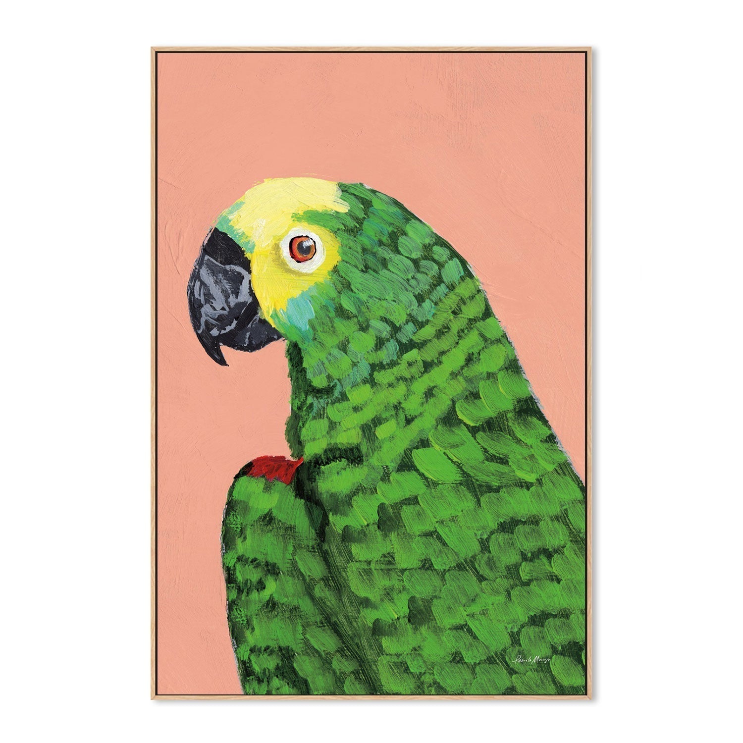 wall-art-print-canvas-poster-framed-Parrot Head-by-Pamela Munger-Gioia Wall Art
