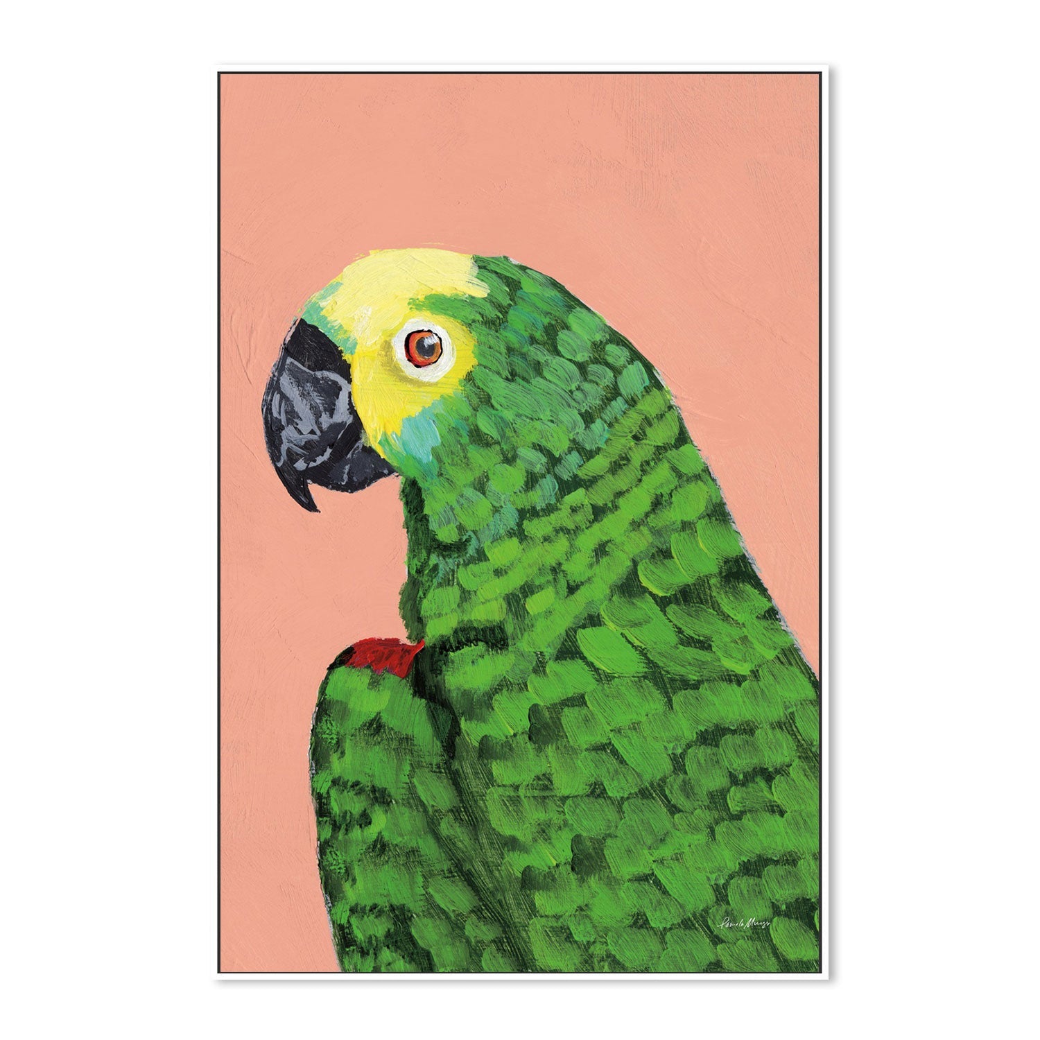 wall-art-print-canvas-poster-framed-Parrot Head-by-Pamela Munger-Gioia Wall Art