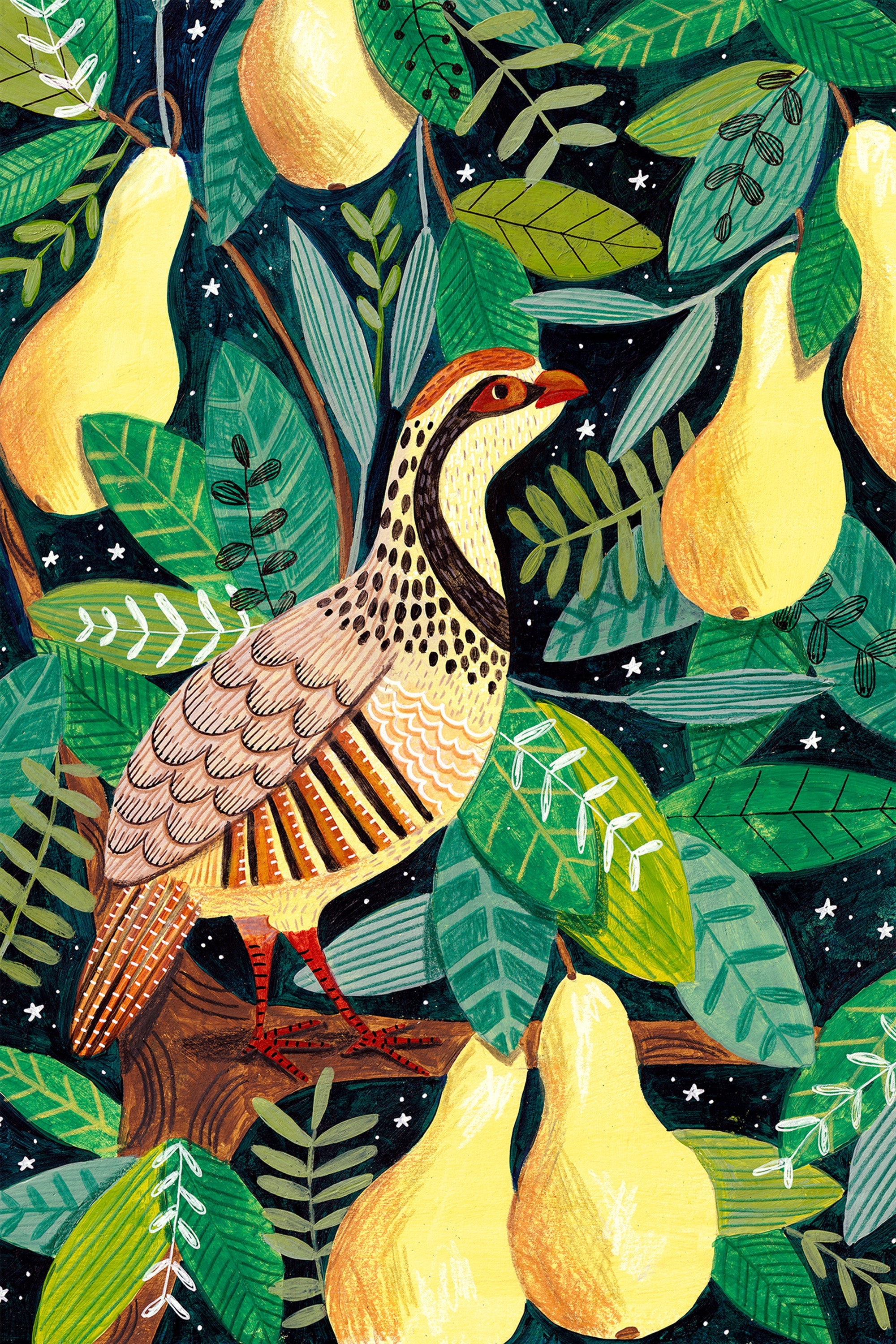 wall-art-print-canvas-poster-framed-Partridge in a pear tree-1