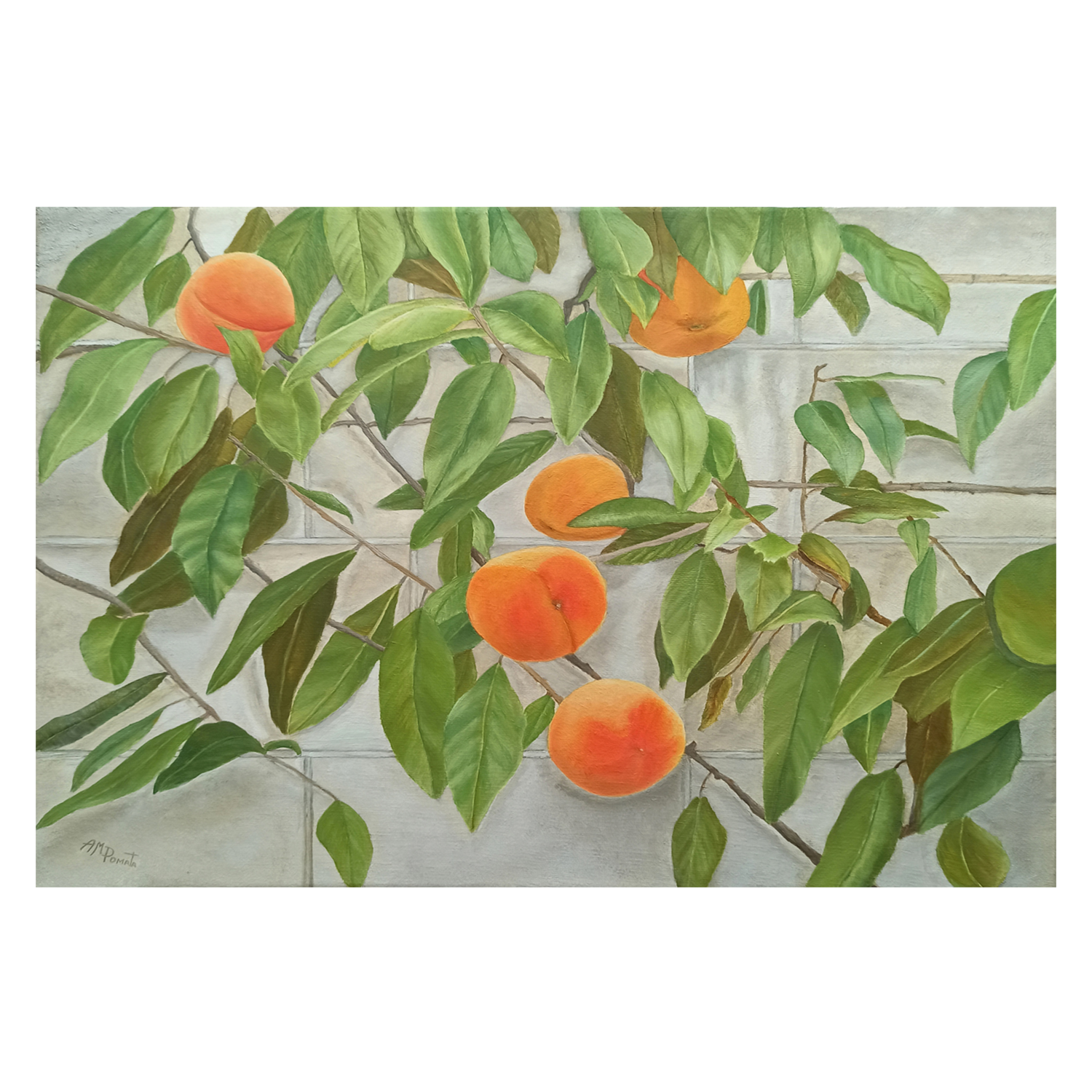 wall-art-print-canvas-poster-framed-Peaches , By Angeles M. Pomata-1