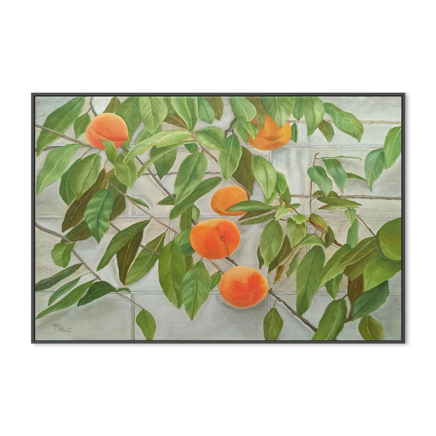 wall-art-print-canvas-poster-framed-Peaches , By Angeles M. Pomata-3
