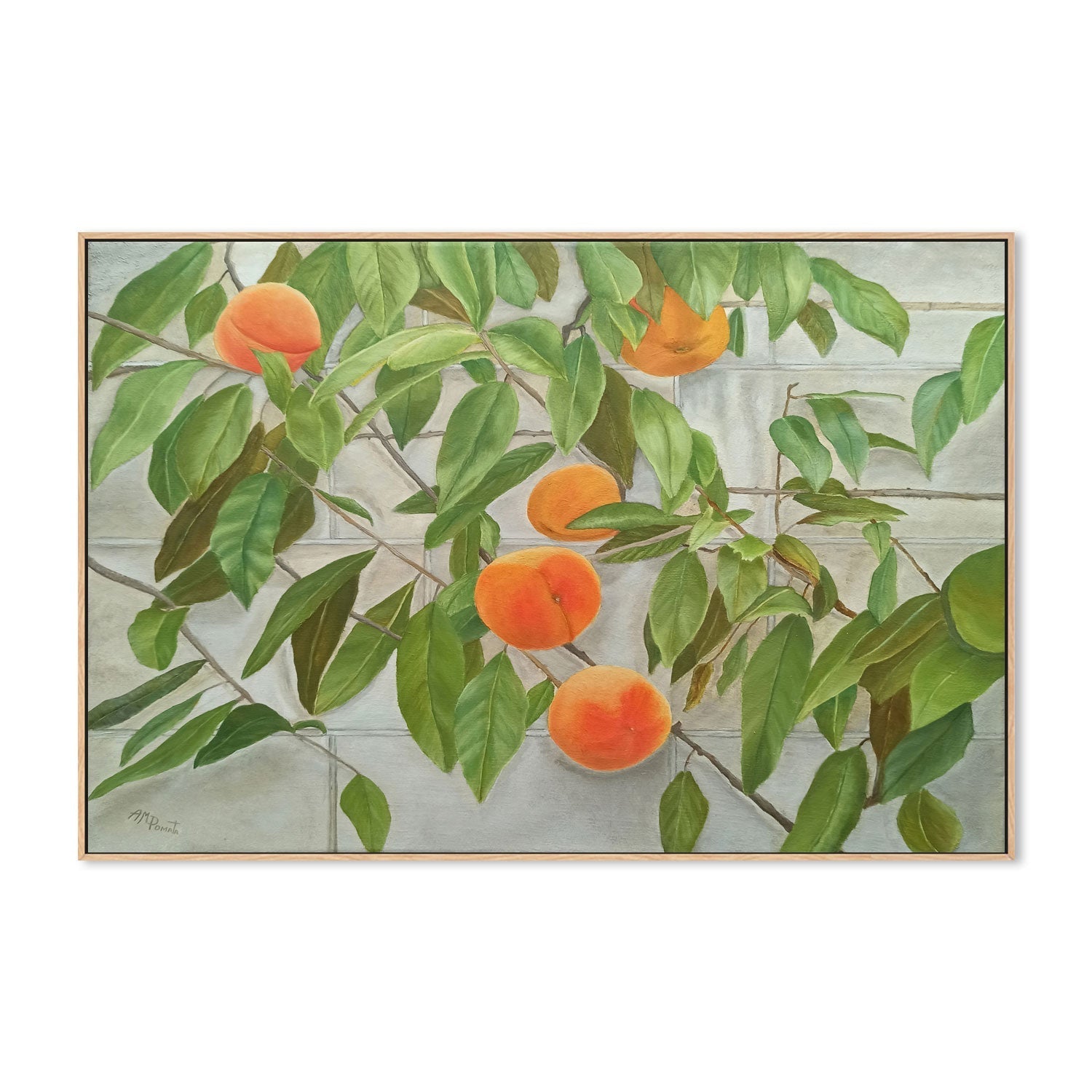 wall-art-print-canvas-poster-framed-Peaches , By Angeles M. Pomata-4