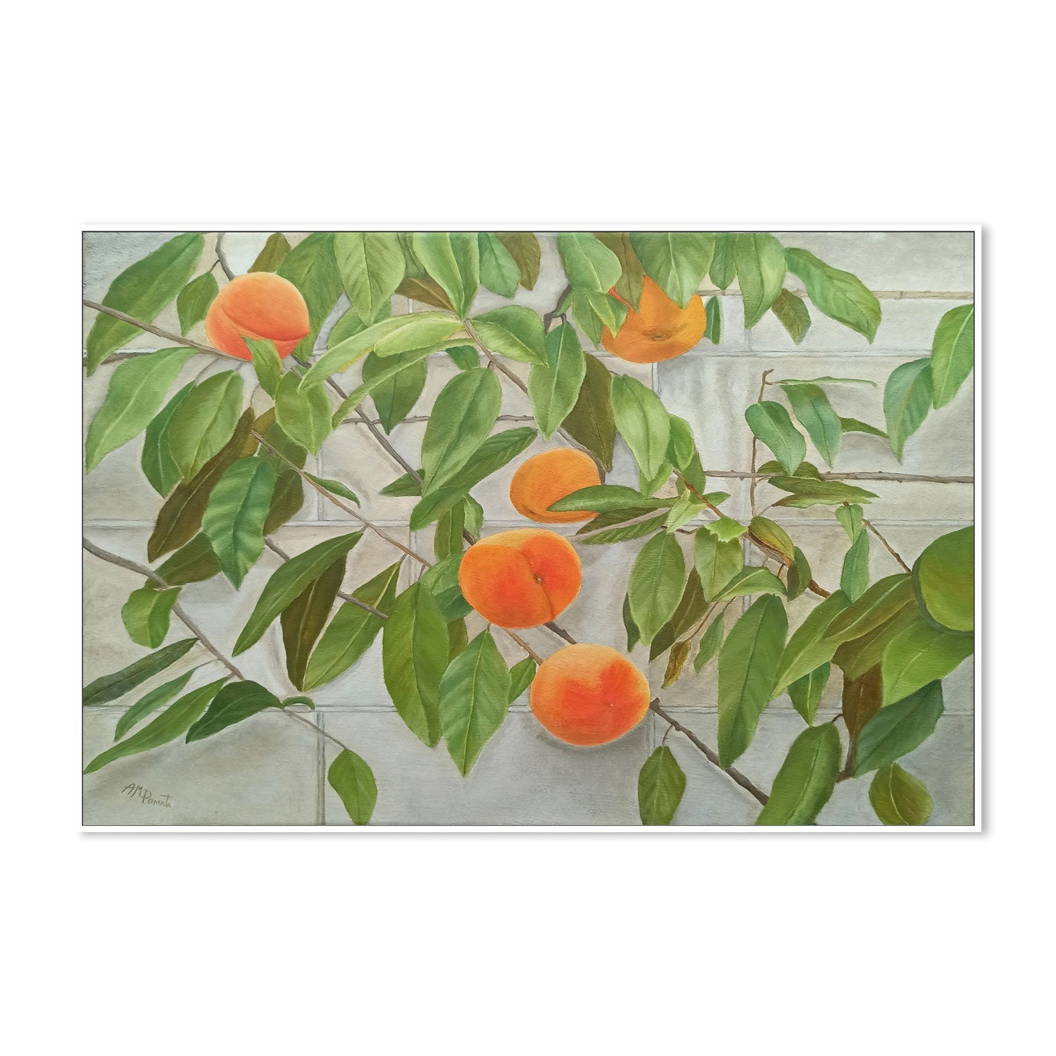 wall-art-print-canvas-poster-framed-Peaches , By Angeles M. Pomata-5