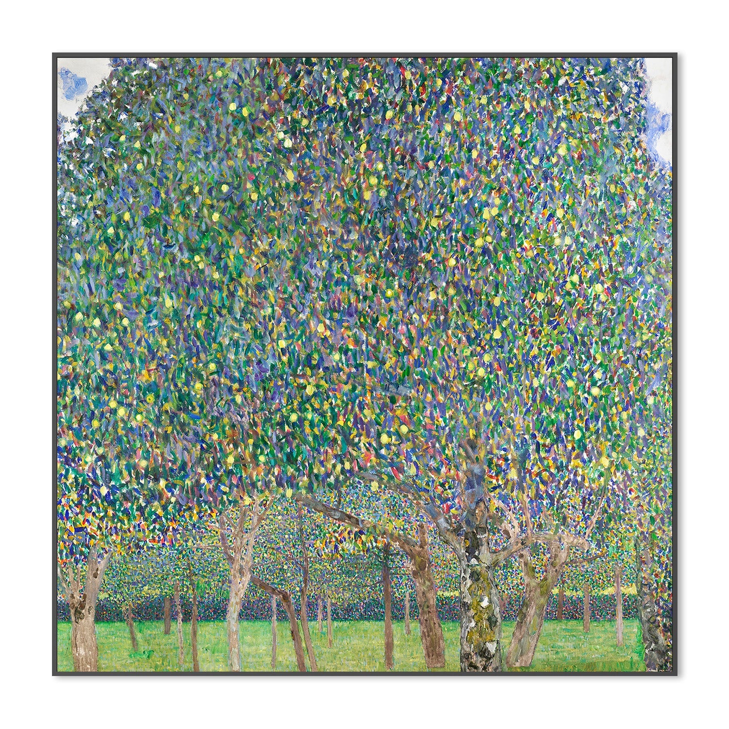 wall-art-print-canvas-poster-framed-Pear Tree (1903)-3