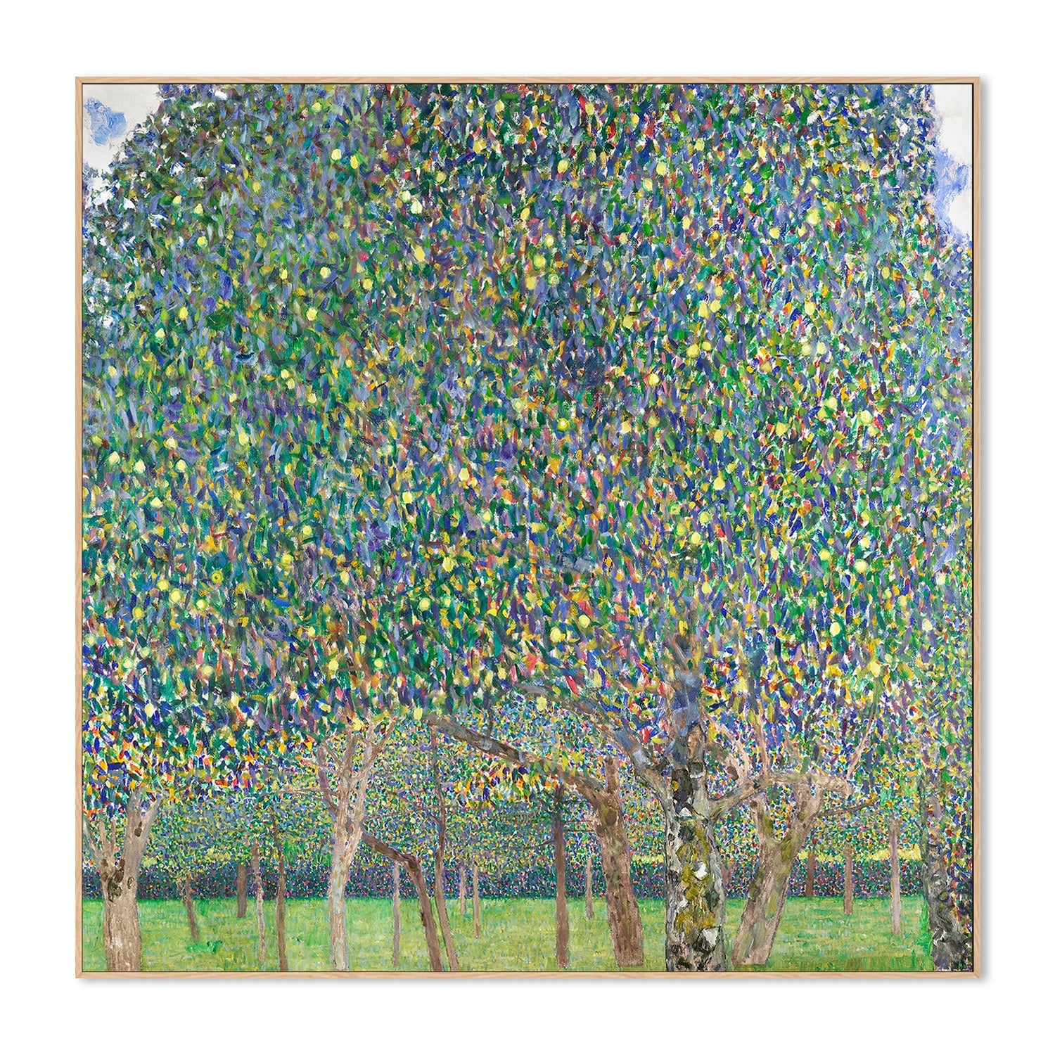 wall-art-print-canvas-poster-framed-Pear Tree (1903)-4