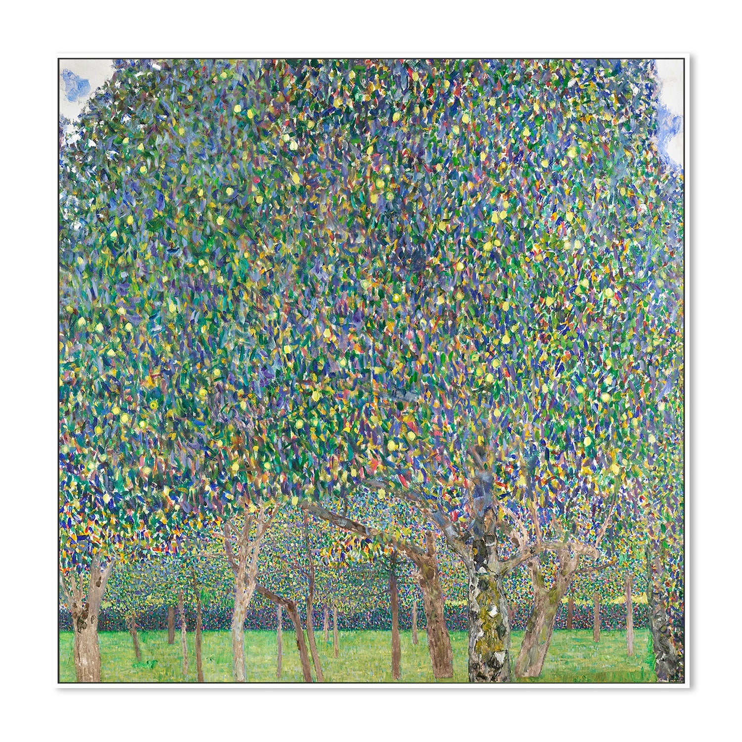 wall-art-print-canvas-poster-framed-Pear Tree (1903)-5