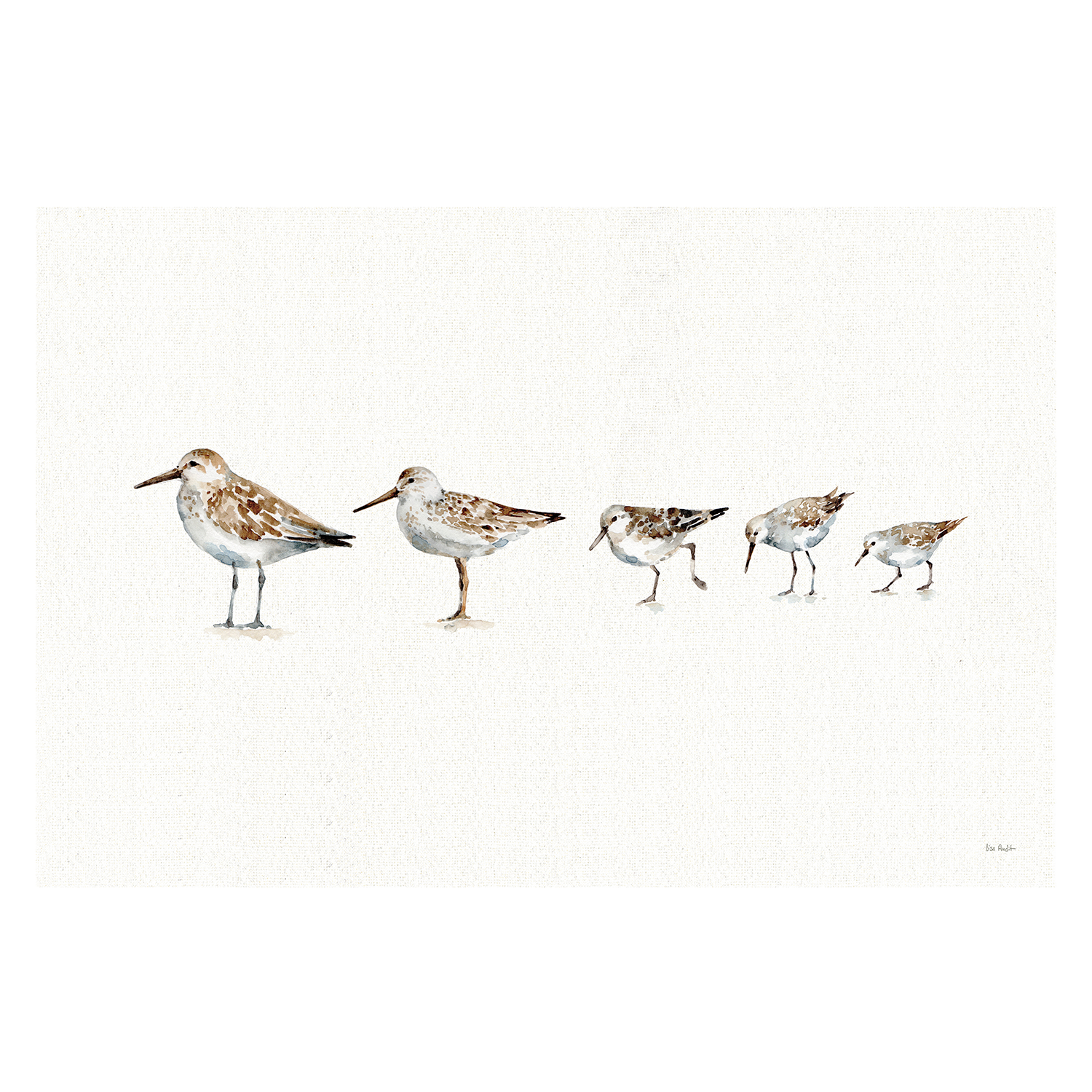 wall-art-print-canvas-poster-framed-Pebbles And Sandpipers , By Lisa Audit-GIOIA-WALL-ART