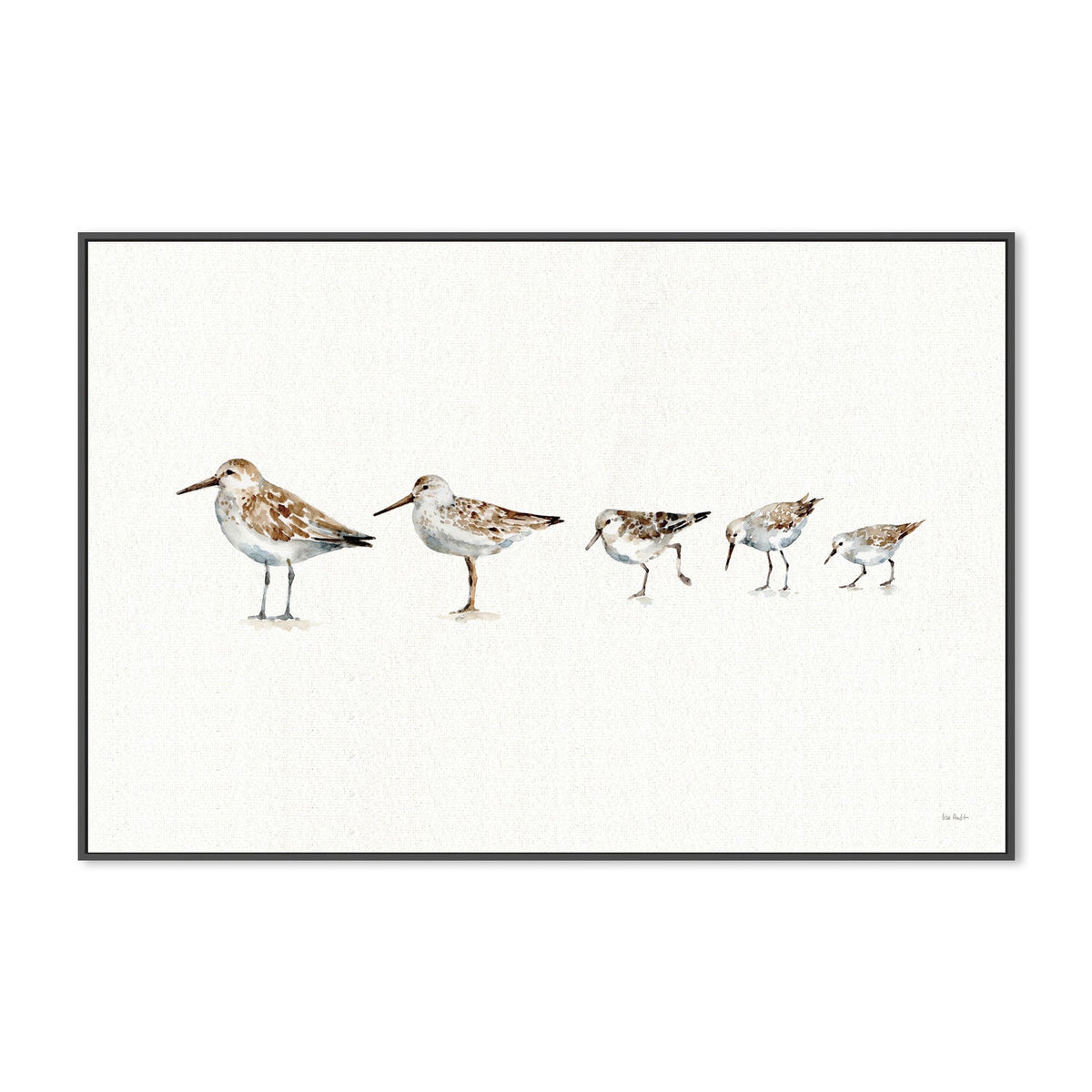 wall-art-print-canvas-poster-framed-Pebbles And Sandpipers , By Lisa Audit-GIOIA-WALL-ART